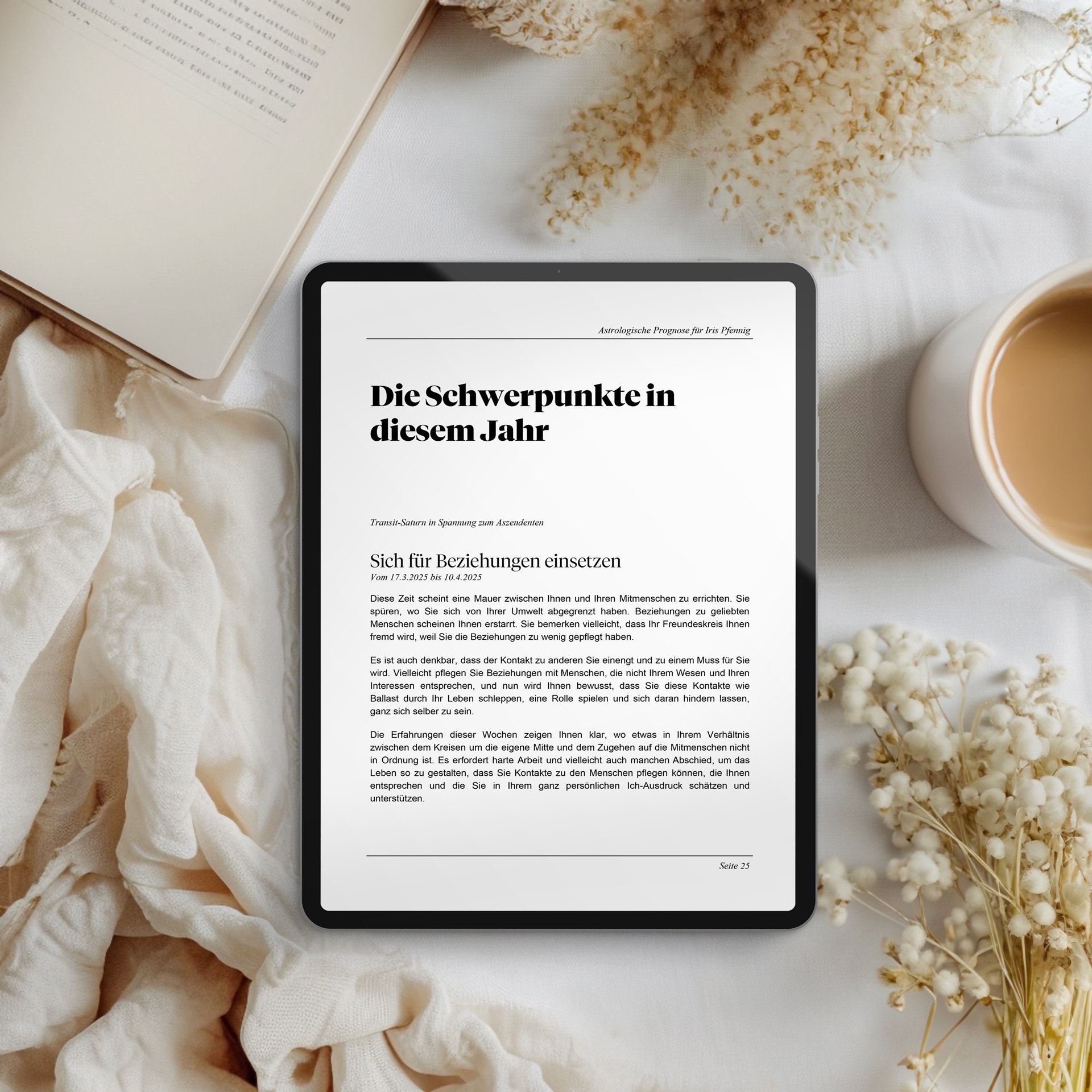 iPad_Jahresanalyse_4.jpg