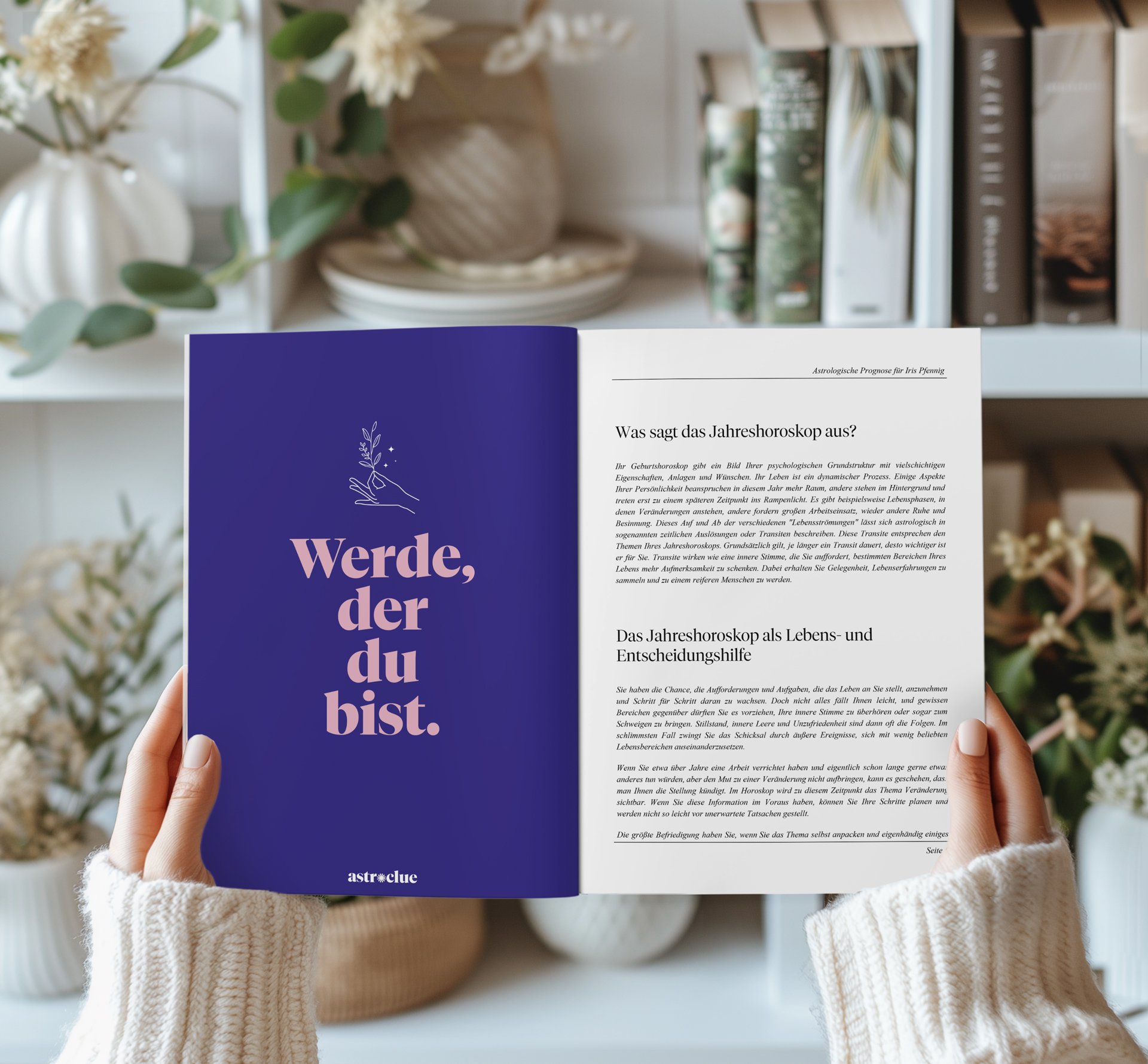 Buch_Jahresanalyse_3.jpg