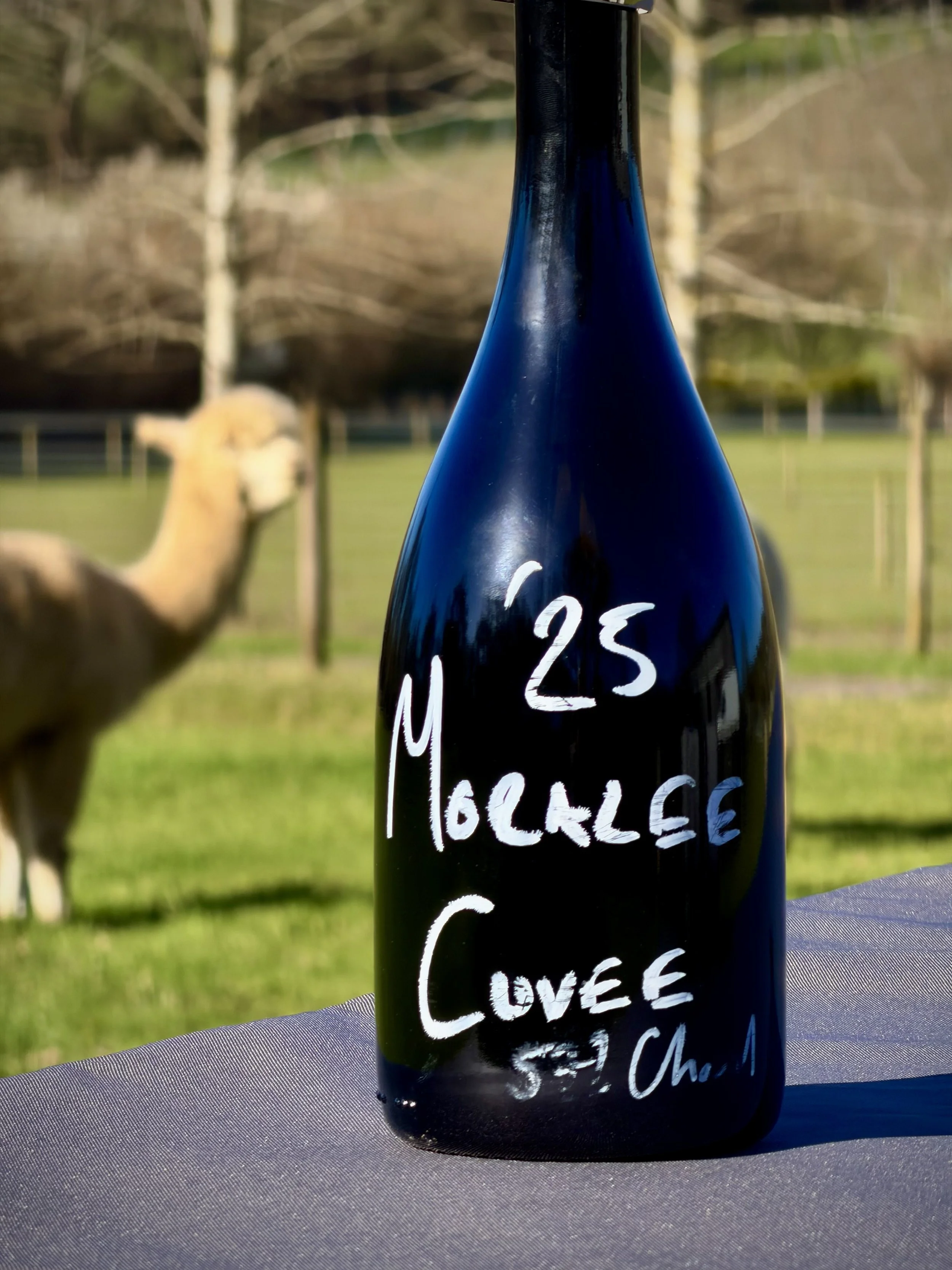 Greensand, Sussex and the Taste of Moralee Wines