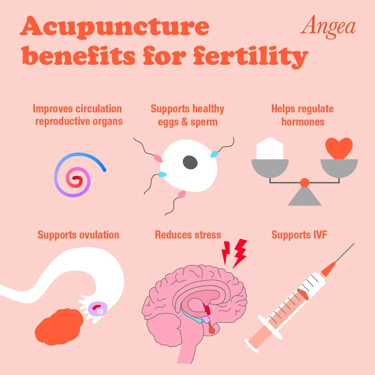 🌿 Supporting Fertility &amp; Hormonal Balance Naturally with Acupuncture