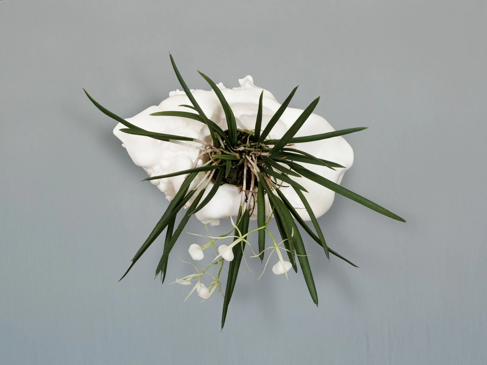 Meditating sterility, 2026