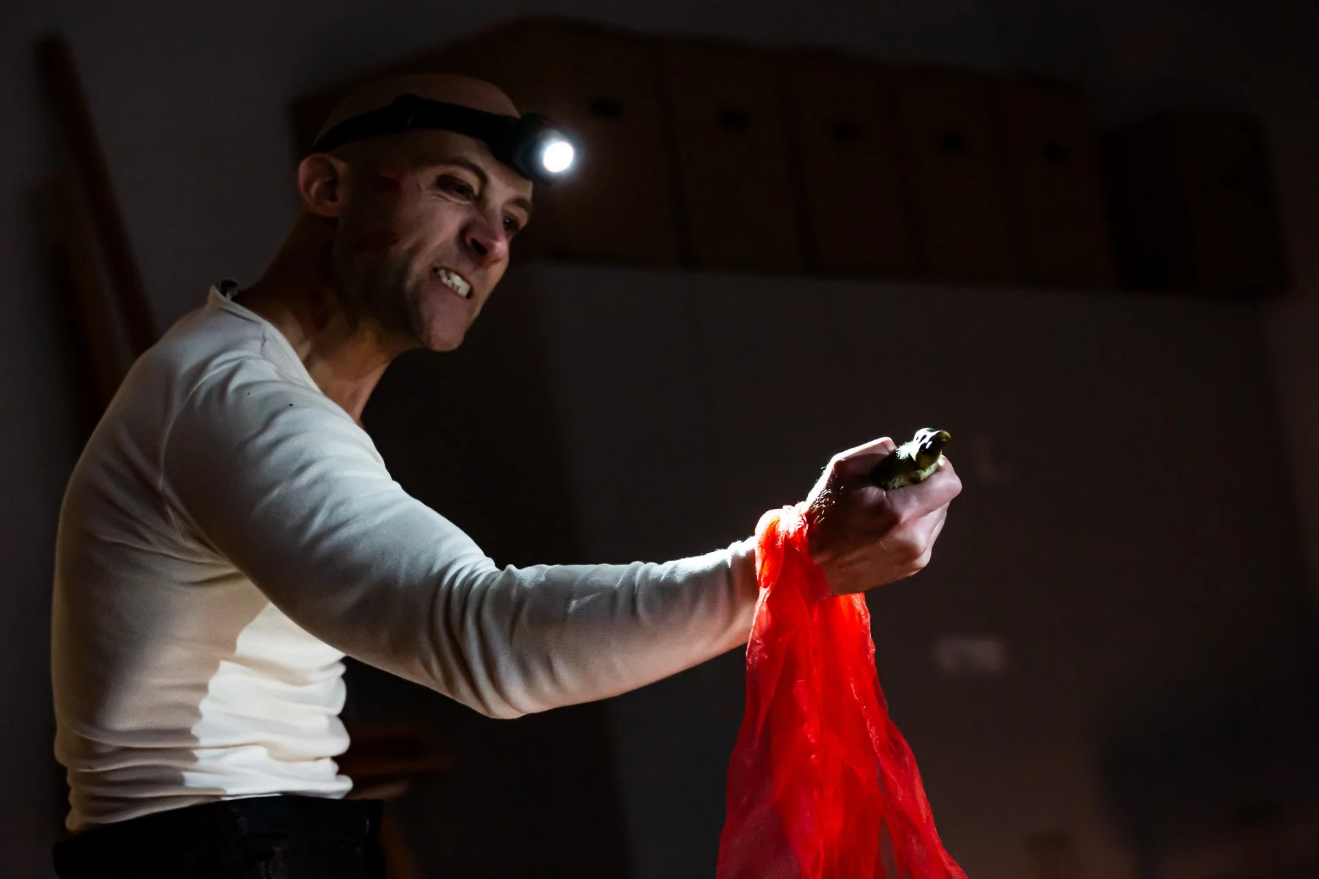 Therés Stephansdotter Björk