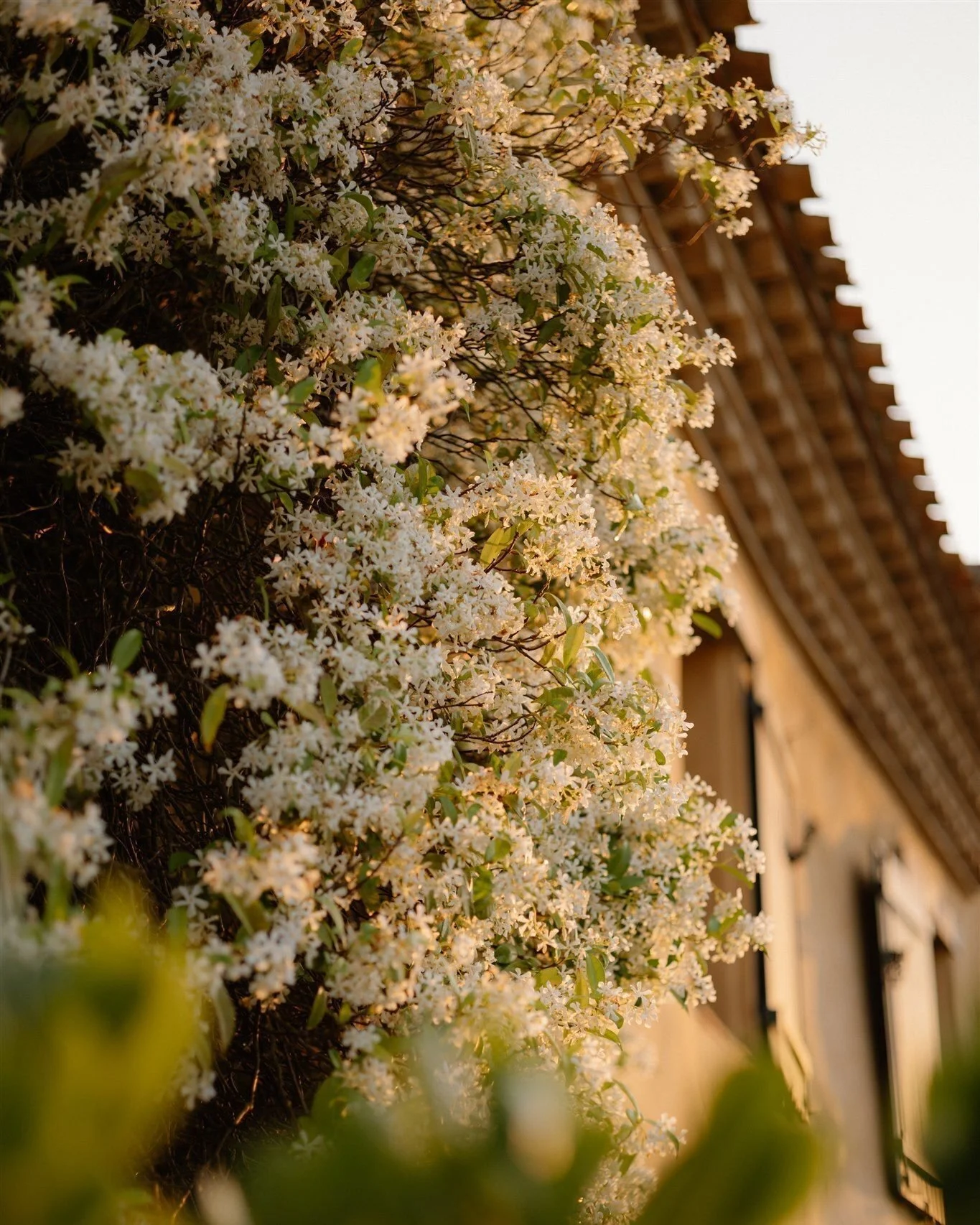 Bank holidays are the universe's way of reminding you to book a longer holiday.
Eleven bedrooms, a private pool, and 630 acres of Corbi&egrave;res hillside all yours, for however long you need.

Enquire via the link in bio ↗
&mdash; Photography by @s