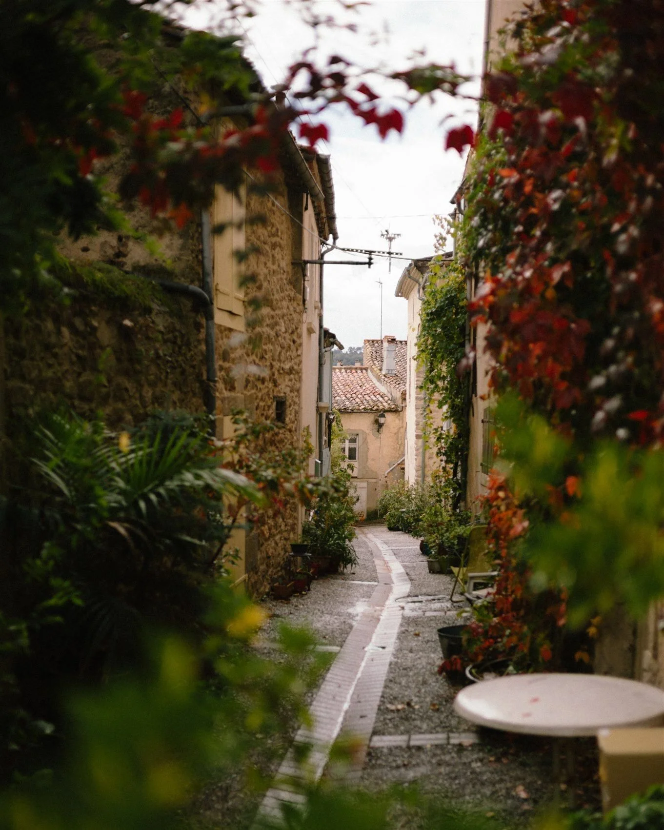 Carcassonne's medieval citadel gets most of the attention, and it deserves to.
But the villages, vineyards, and hillsides beyond the walls are worth the drive, with quiet wine routes, market towns, and views that most visitors never find.
We've writt