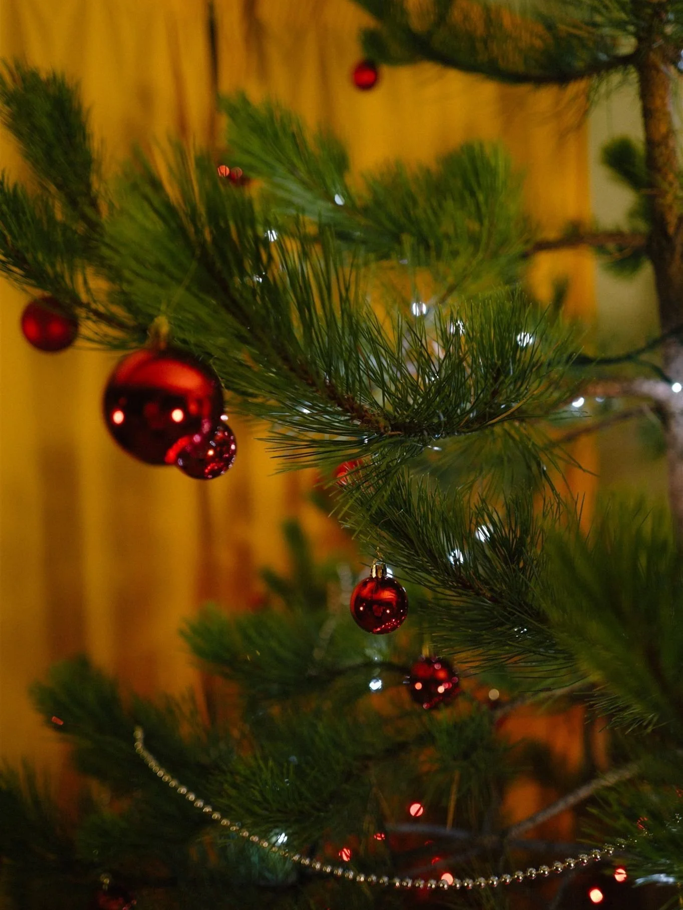 August might feel a little early to be making Christmas plans, but it&rsquo;s one of our favourite times of year at the Domaine. The house changes completely in winter, with two fireplaces lit and cosy rooms to come back to after a walk through the C