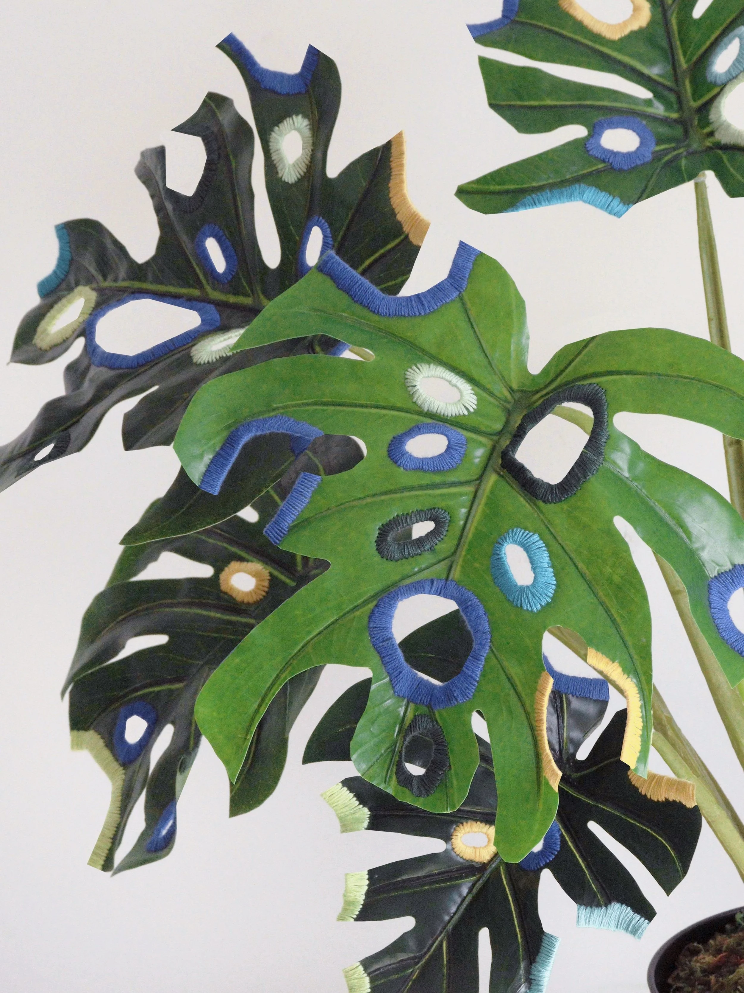 plant portals close up