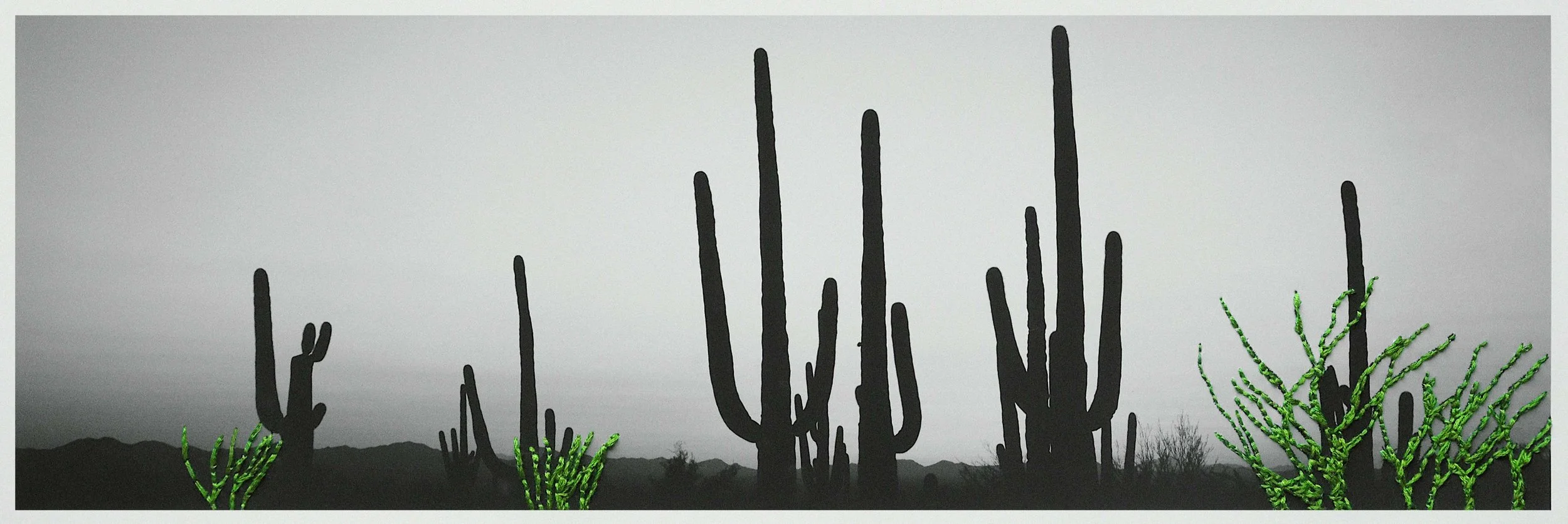 saguaro stitching