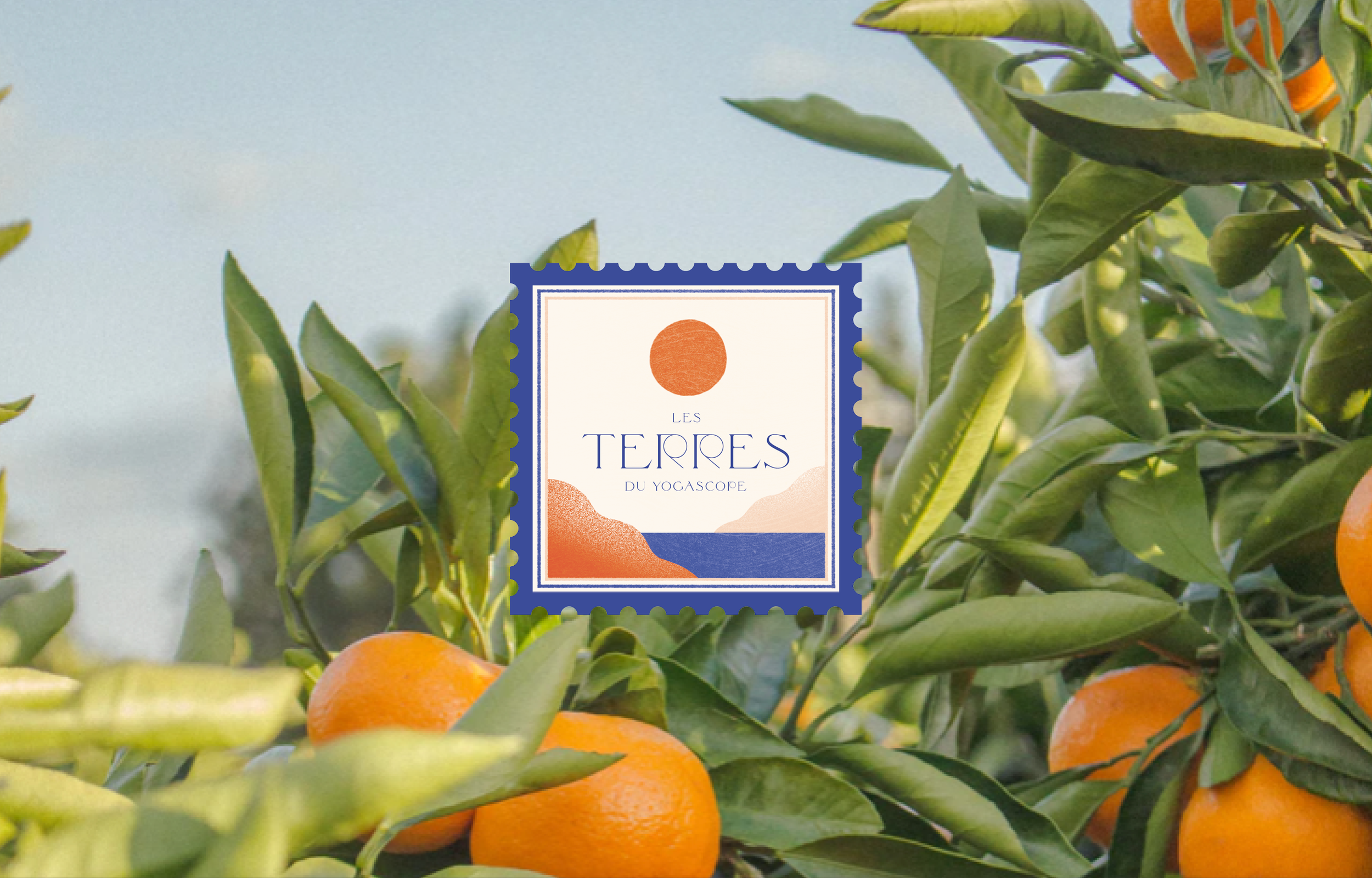 Projet-Les-terres