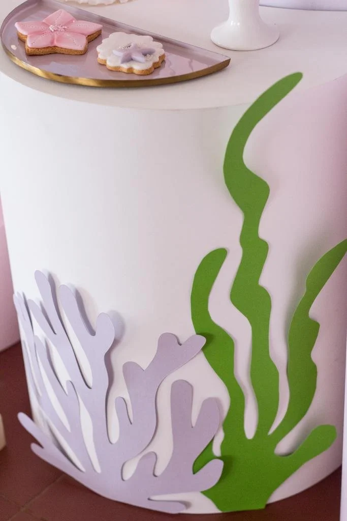 PHOTO-2023-08-26-21-41-21 2.jpg