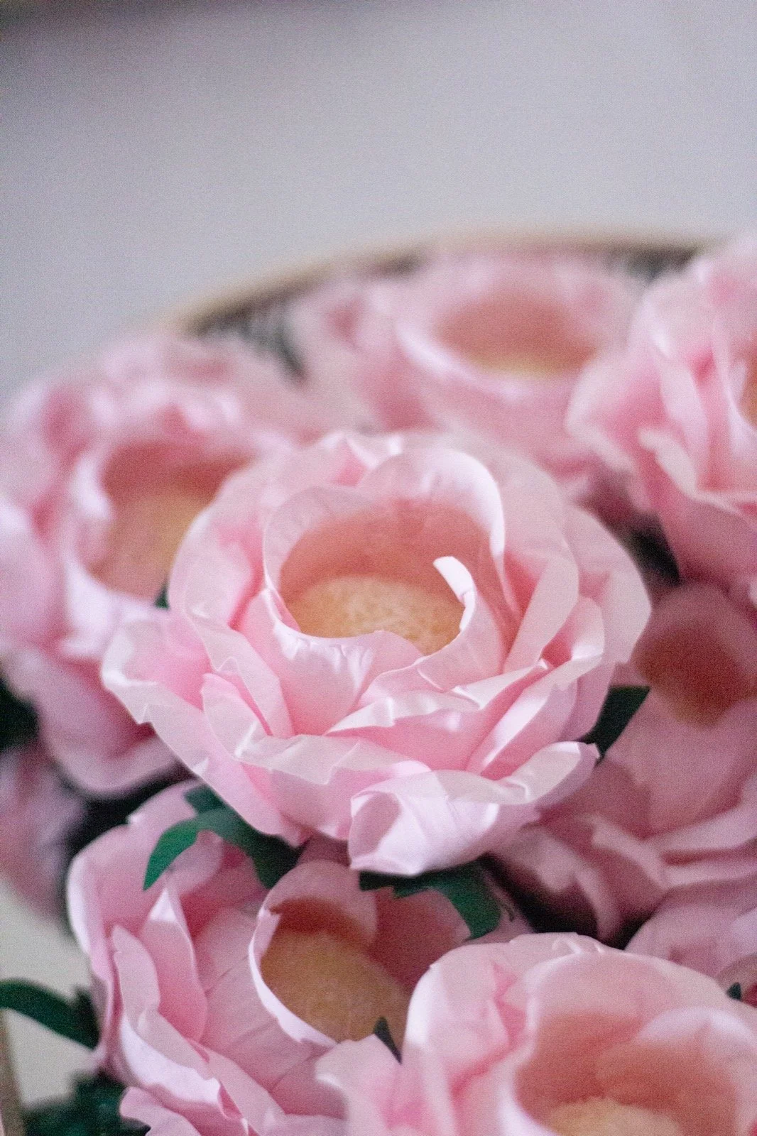 PHOTO-2022-10-23-14-42-20 4.jpg