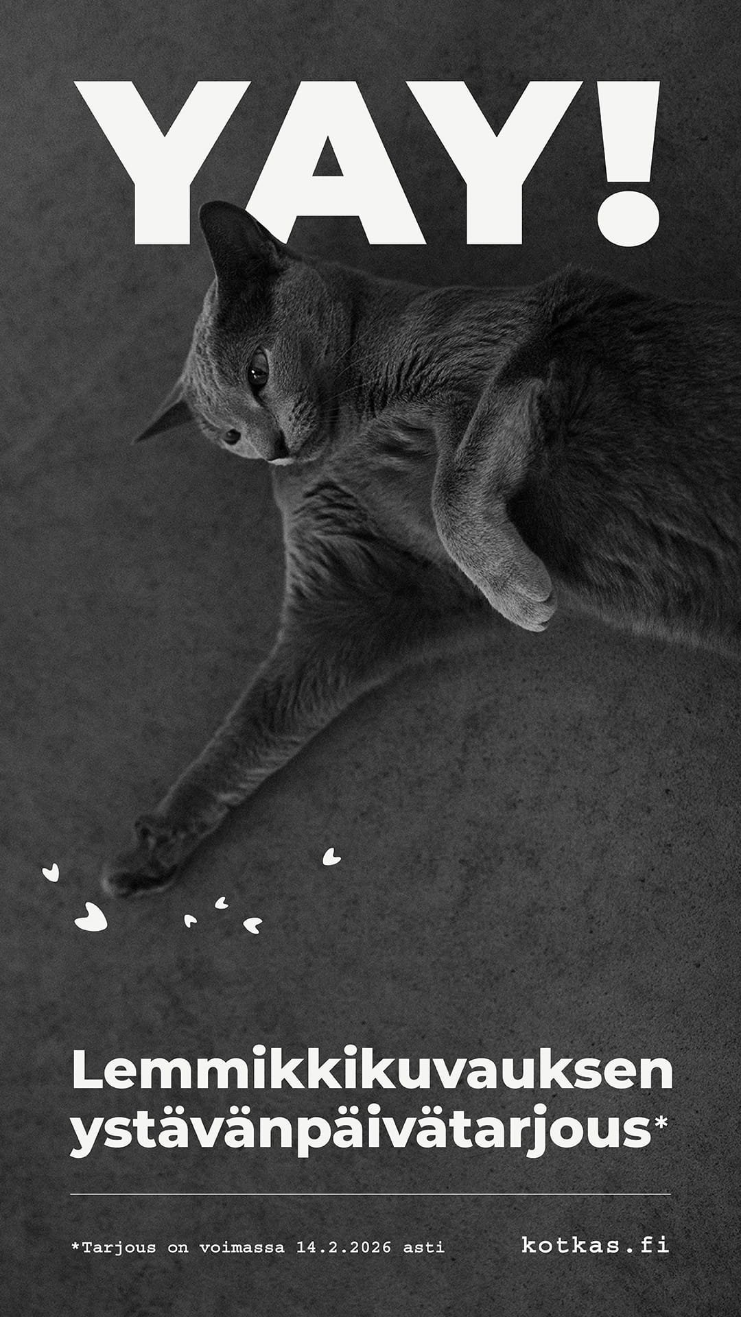 Kotkas lemmikkikuvauksen ystävänpäivätarjous