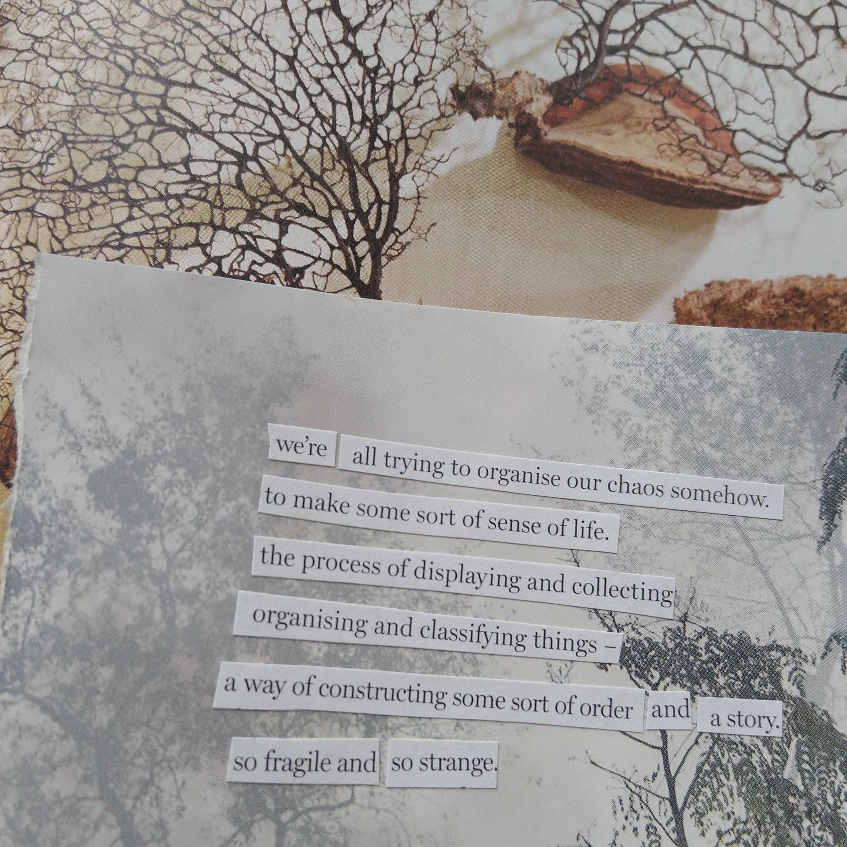 arts-based approach to meaning through a found poem out of cut out words on an image of dried coral