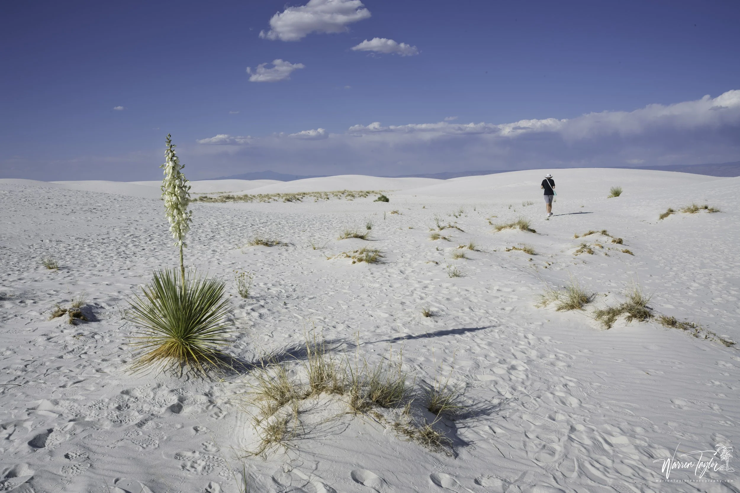 White Sands NP 20.jpg