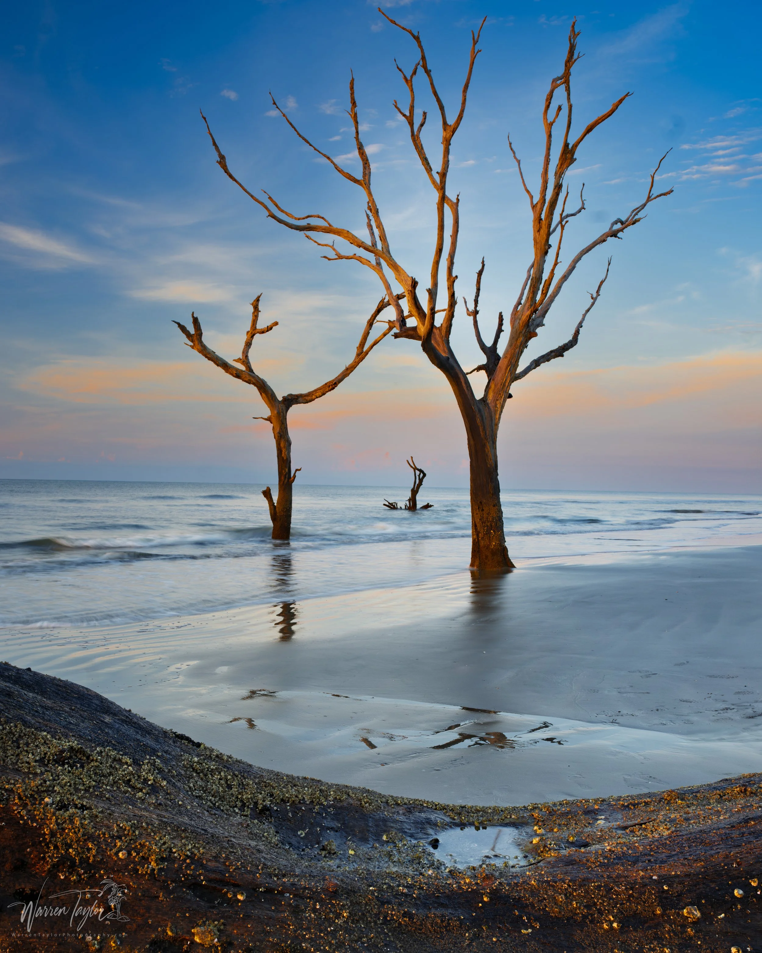 The Boneyard, Bulls Island, SC