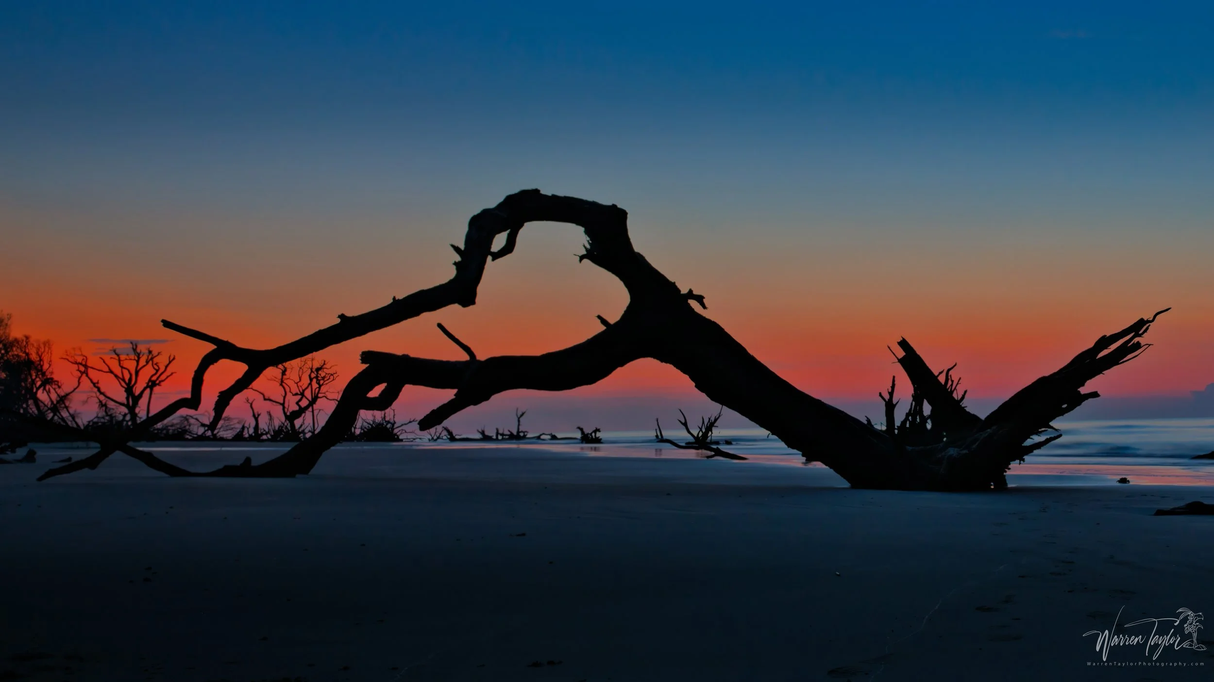 The Boneyard, Bulls Island, SC