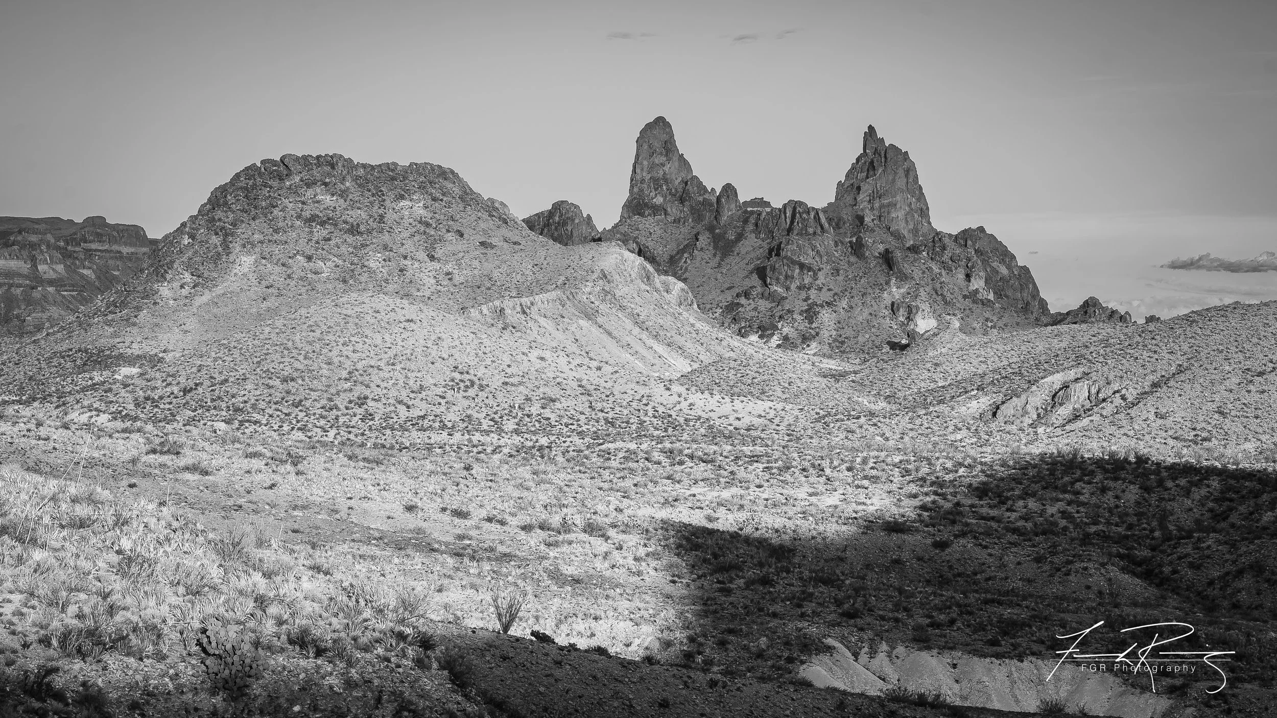 DSC_6445-2.jpg