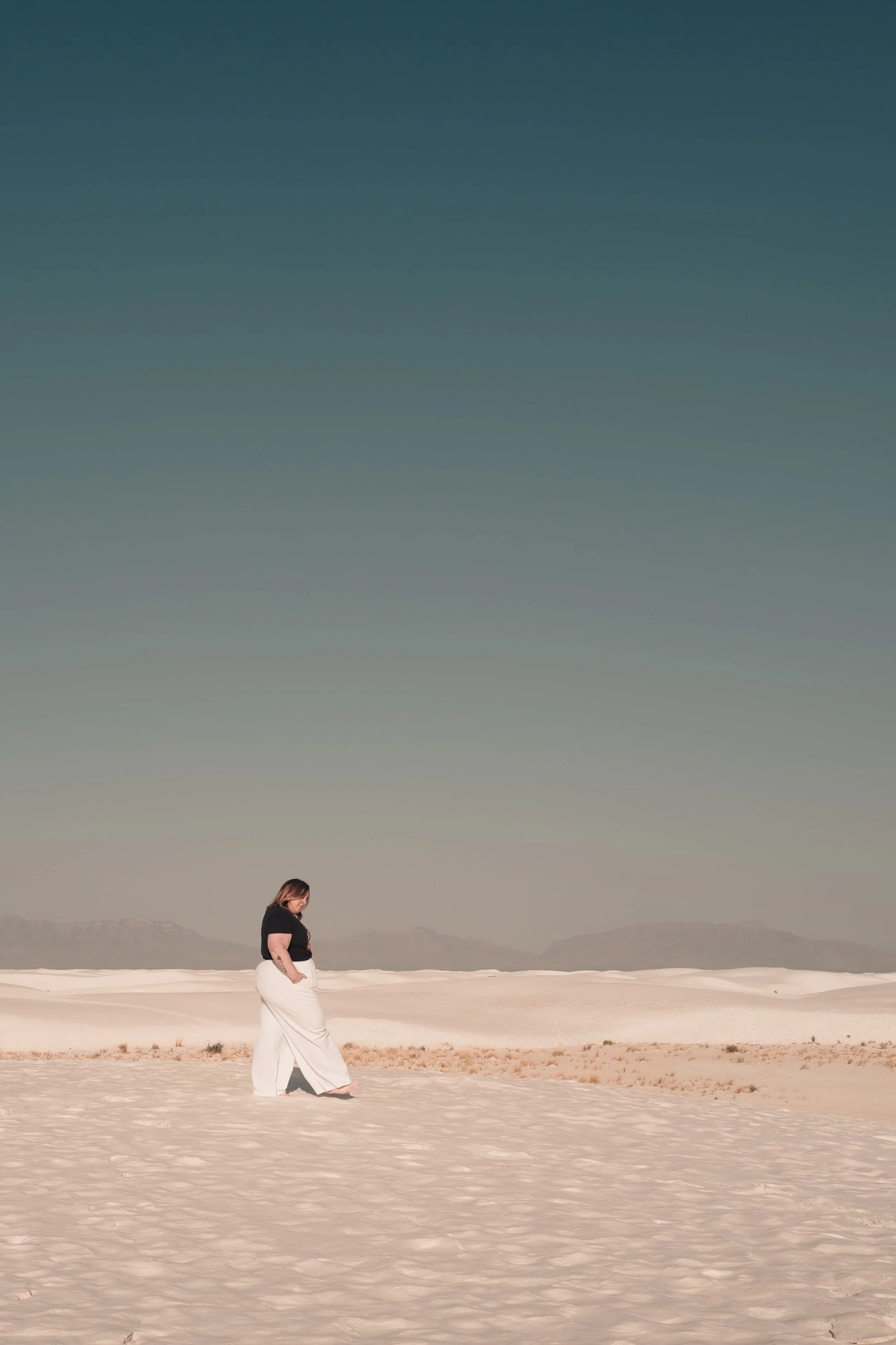 The Sovereign Compass