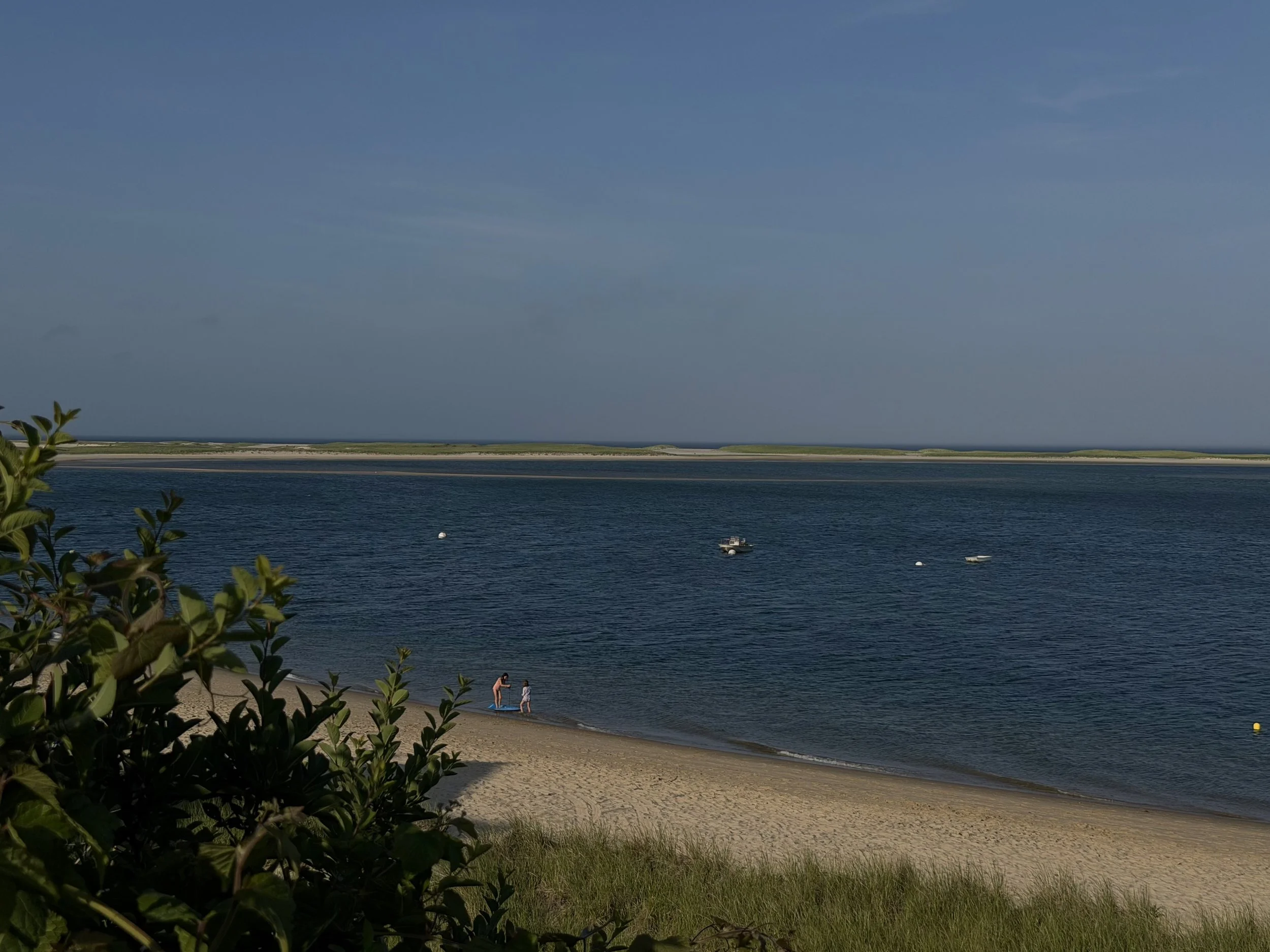 IMG_4902.jpeg