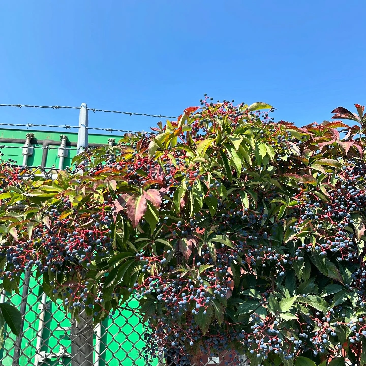 F8AD0CA8-64EC-4612-892B-C62E4F327D9C.jpg