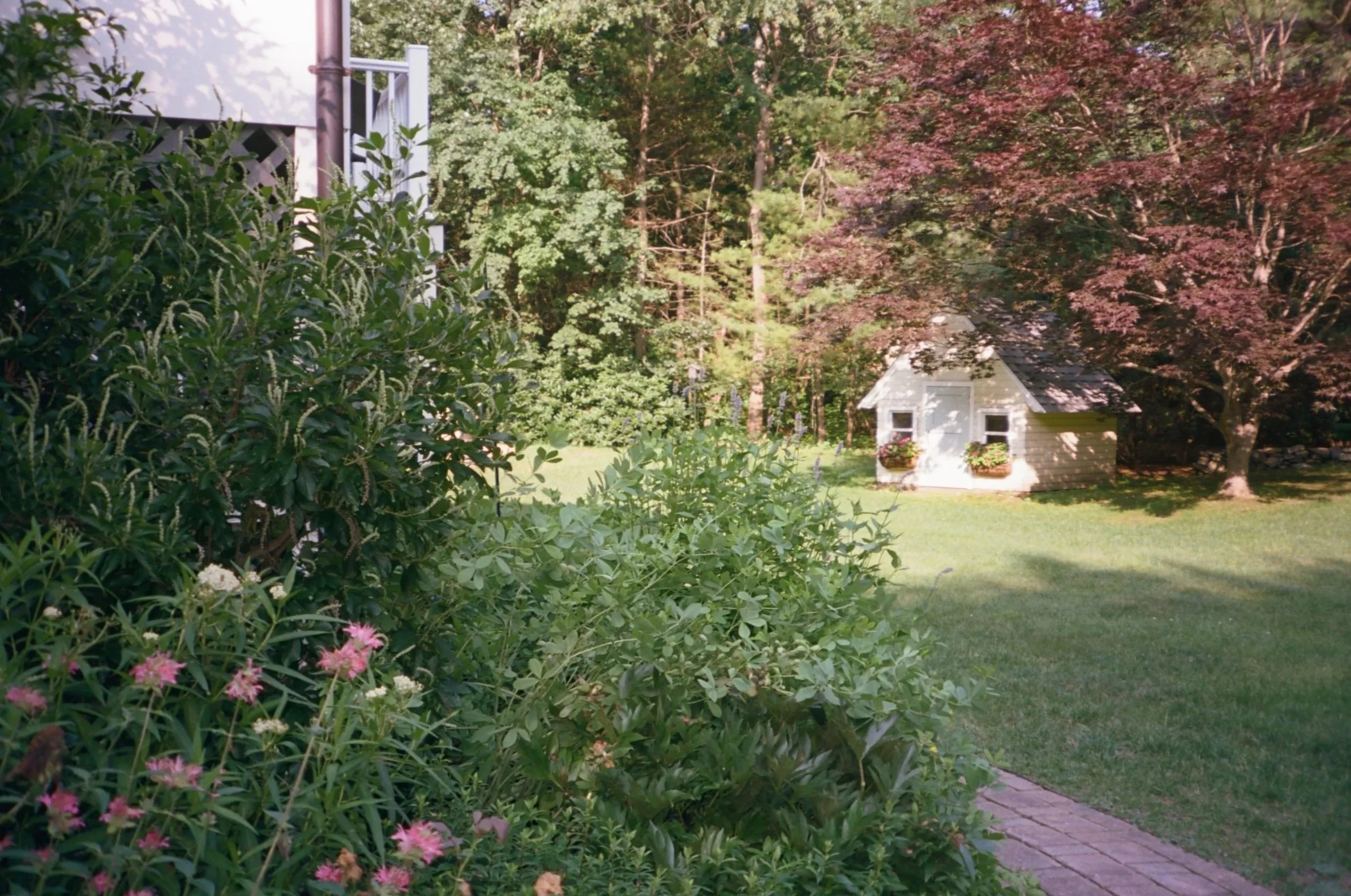 homejuly23.2.jpg