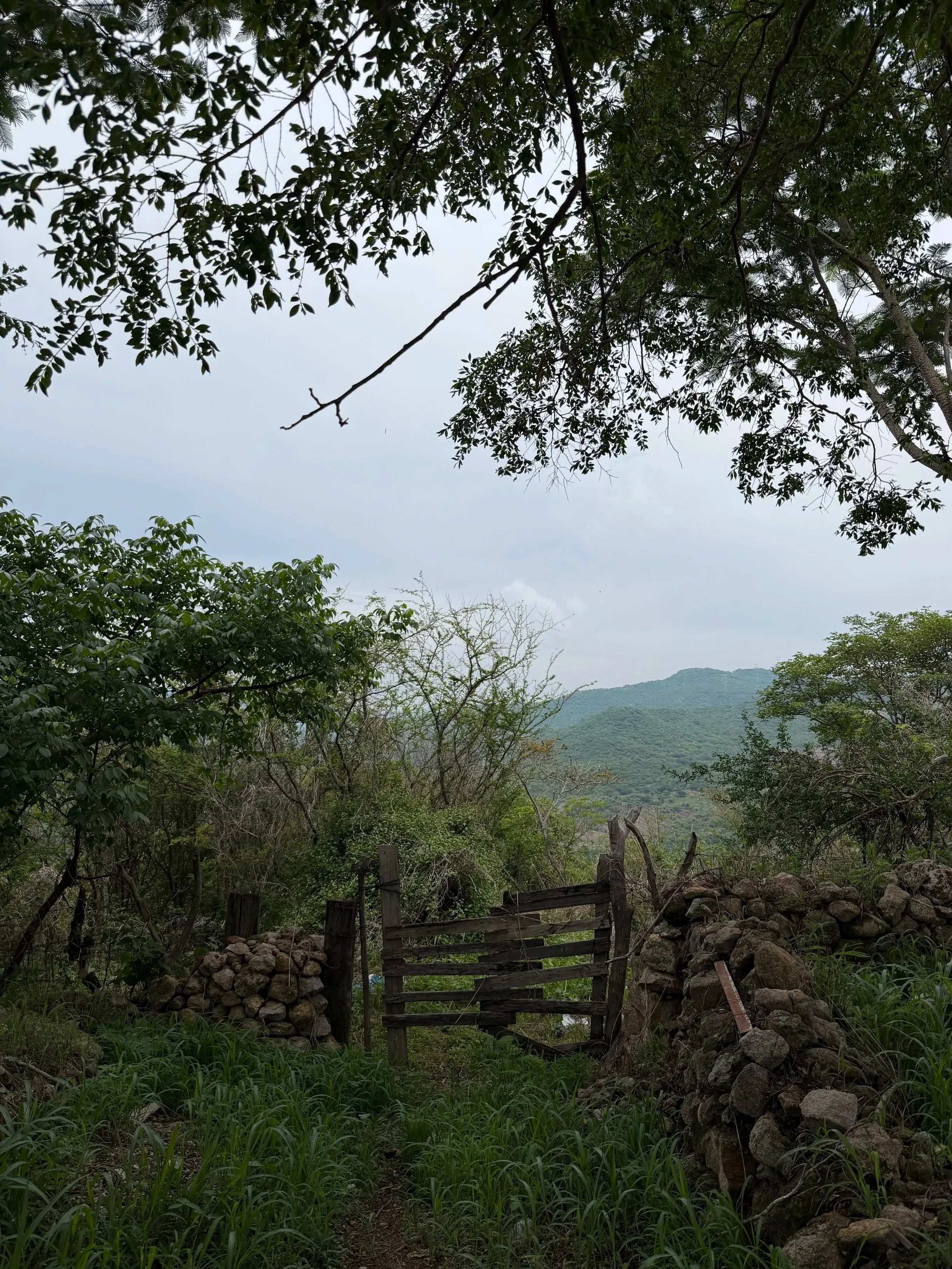 my work trip to jalisco