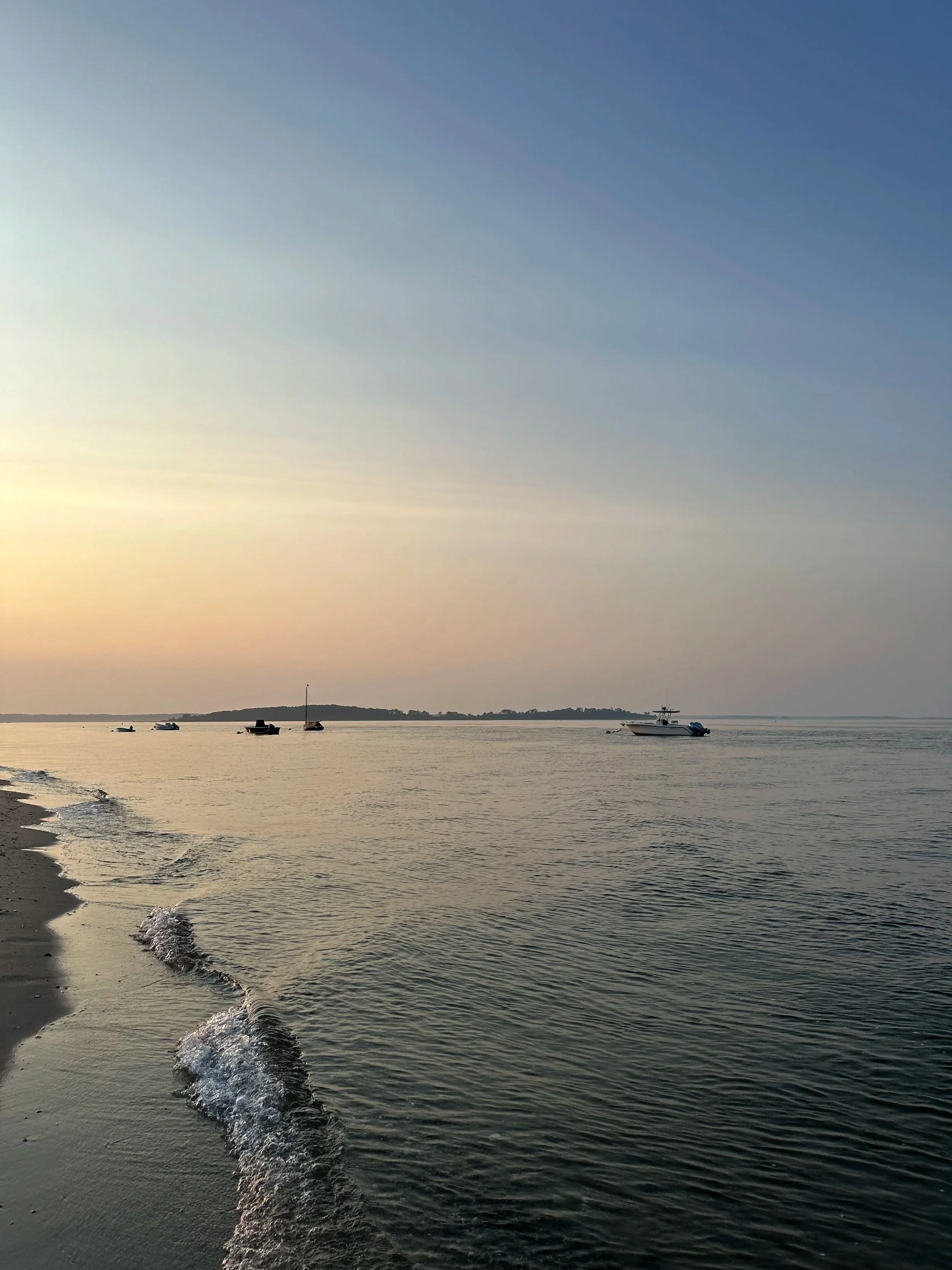 IMG_2686.jpg