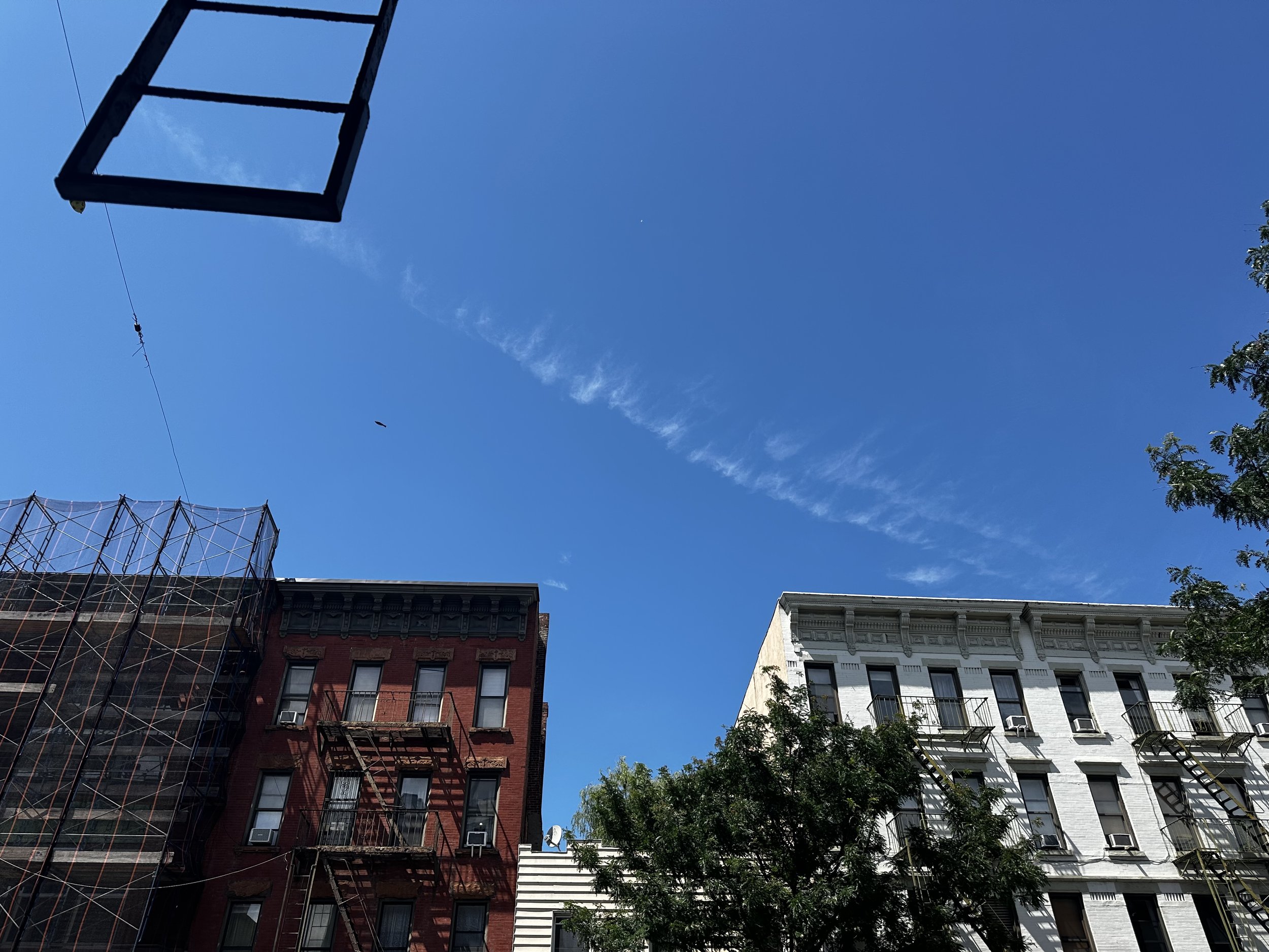 IMG_8287.jpeg