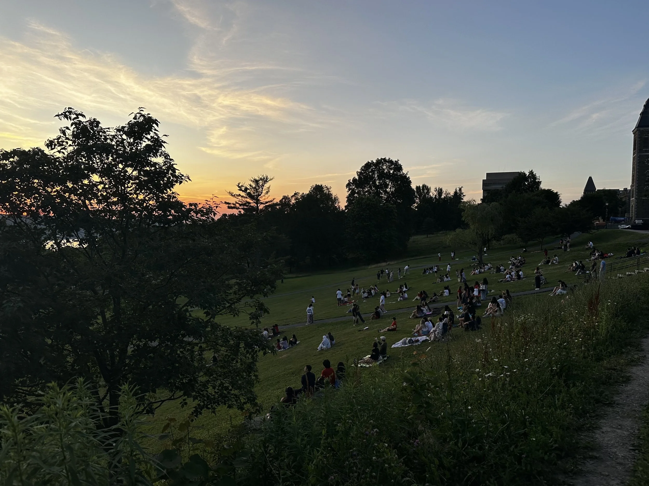 IMG_7723.jpeg
