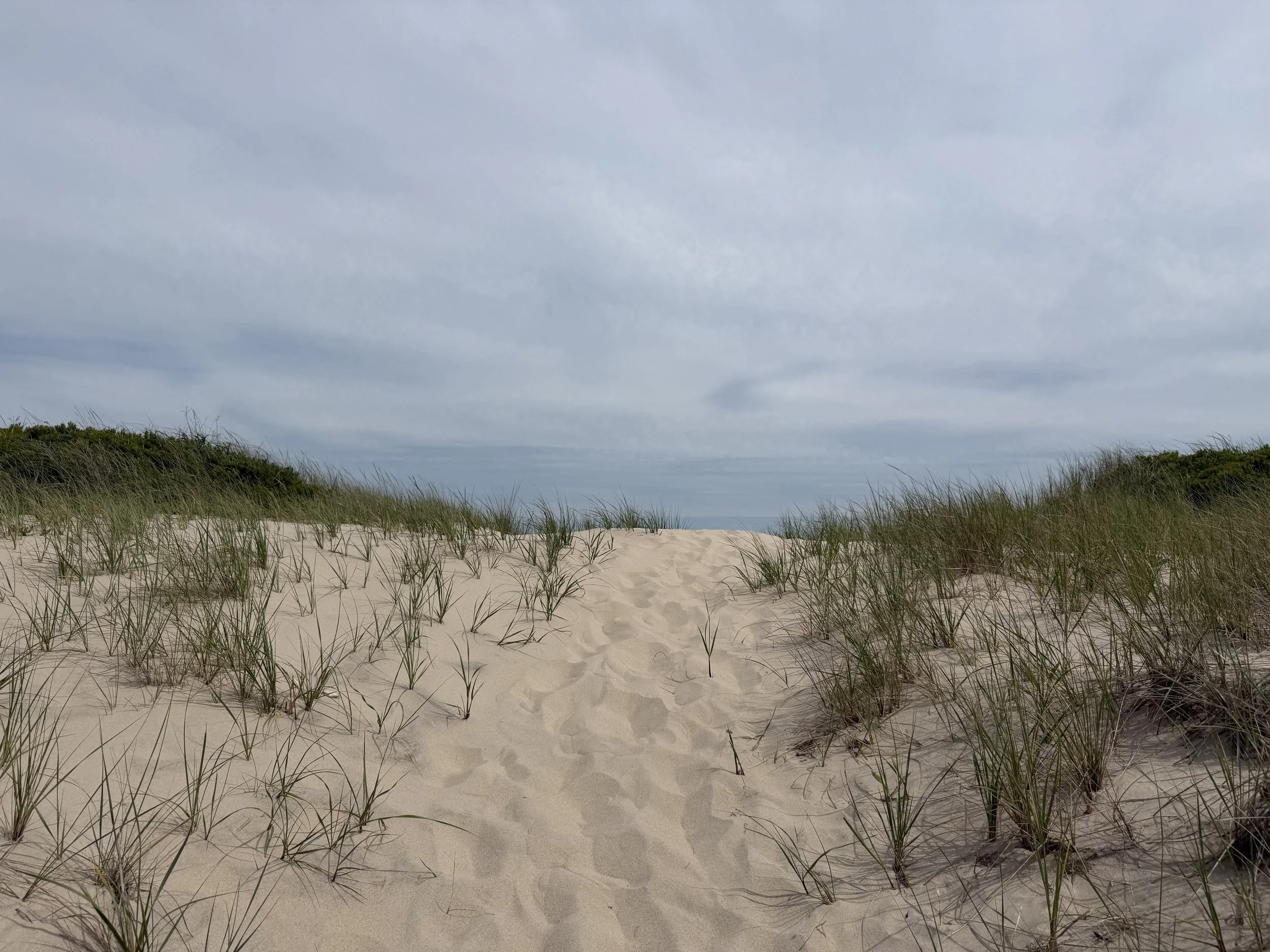 IMG_3807.jpeg