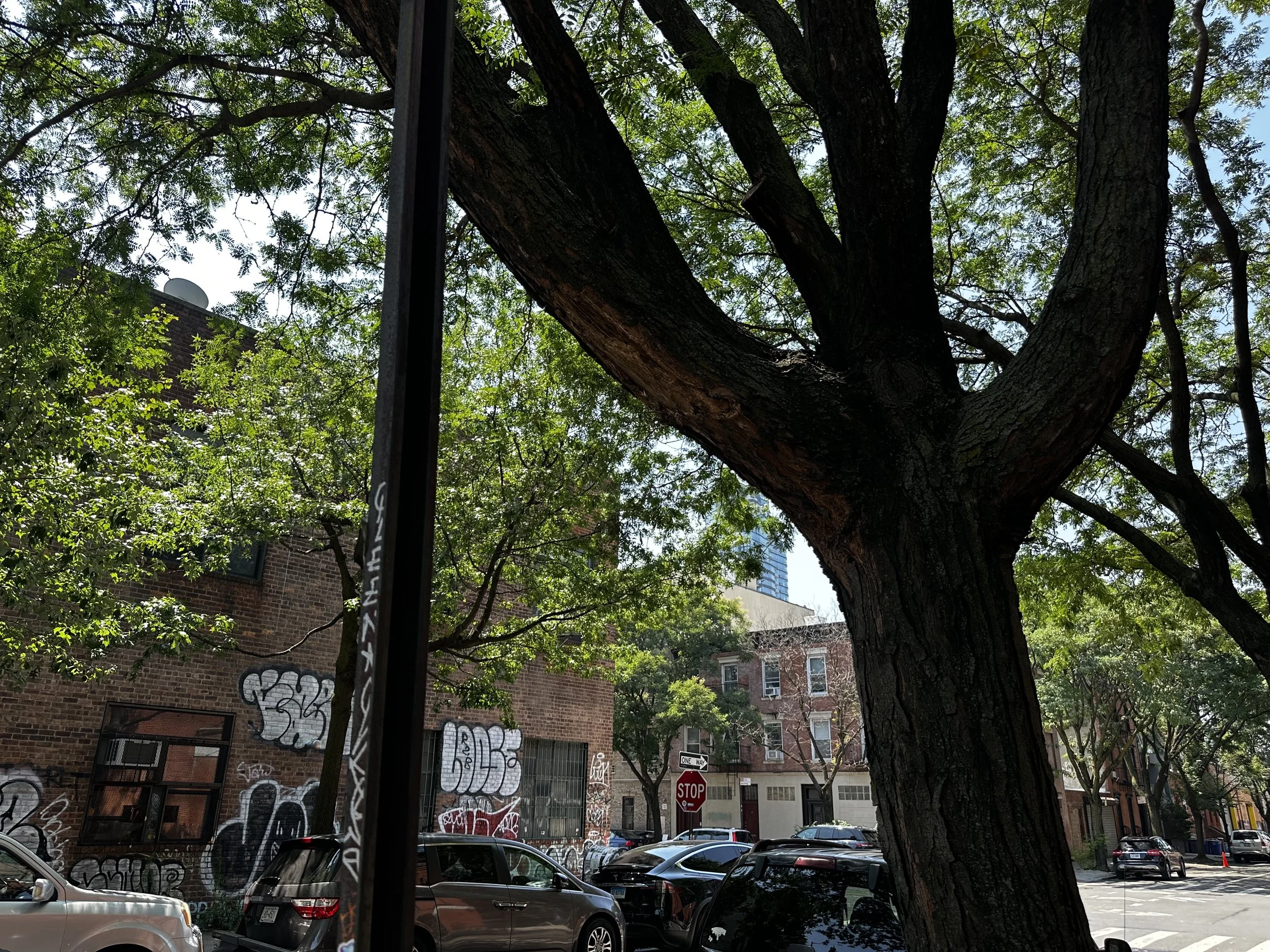 IMG_9736.jpeg