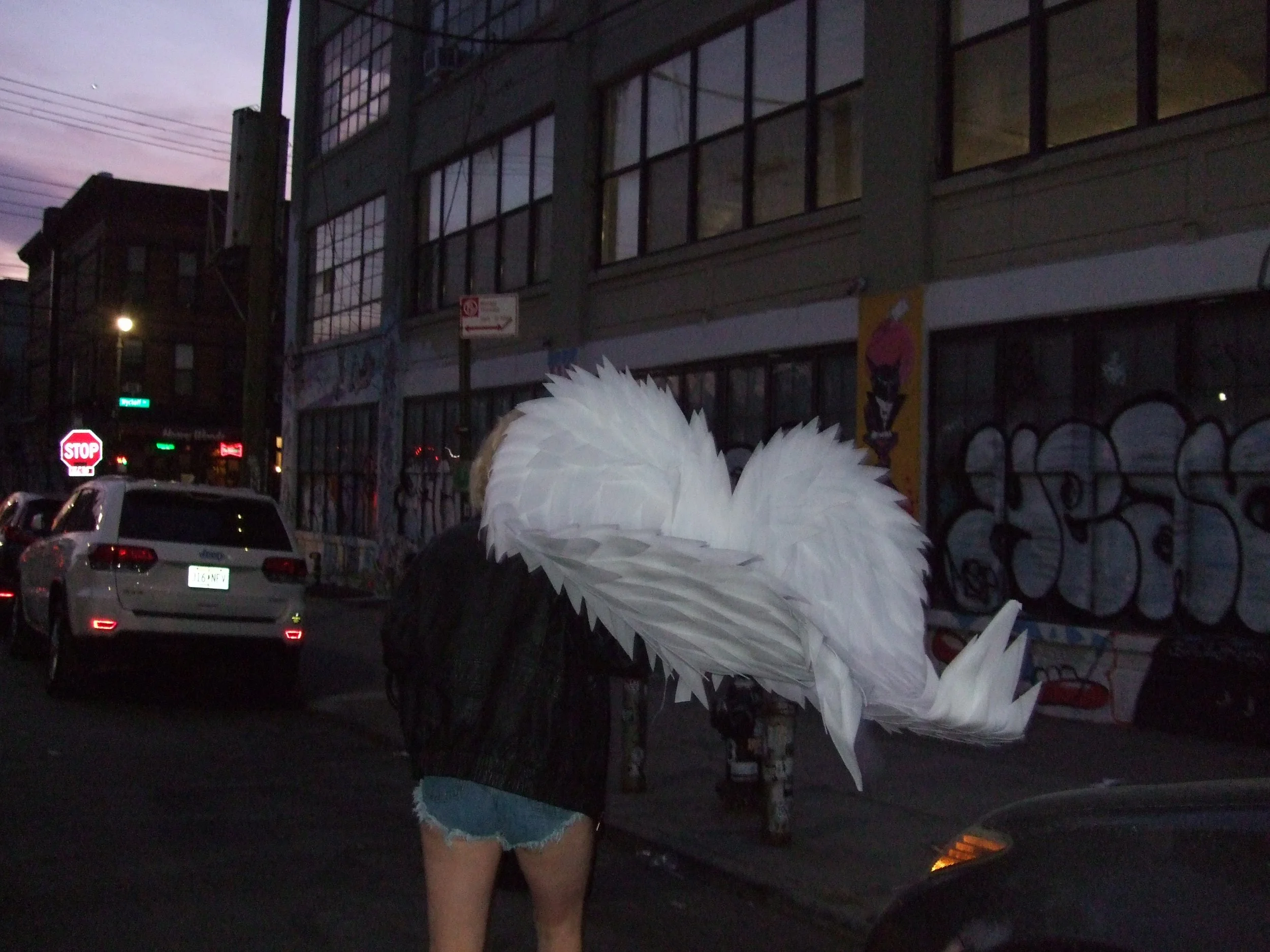 DSCF0457.JPG