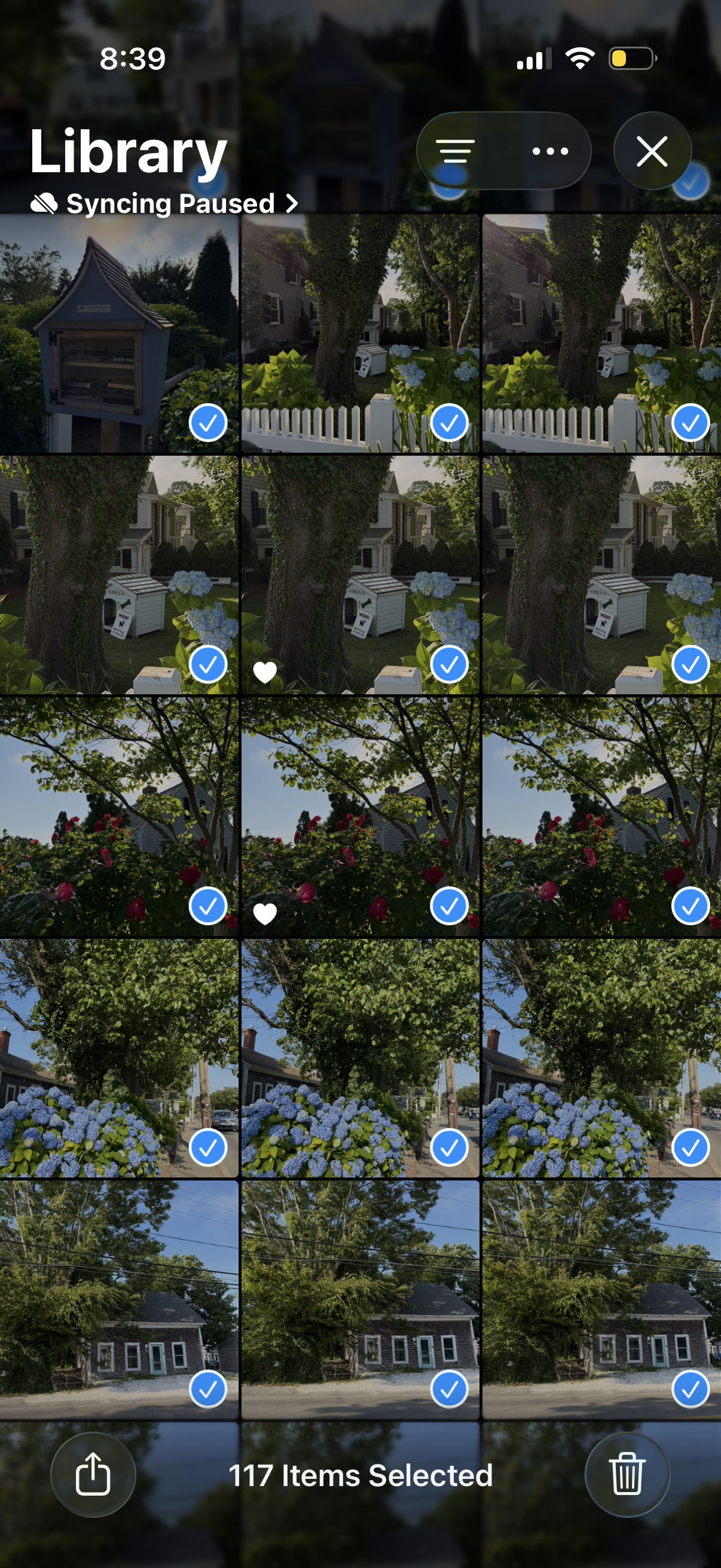 IMG_4980.PNG