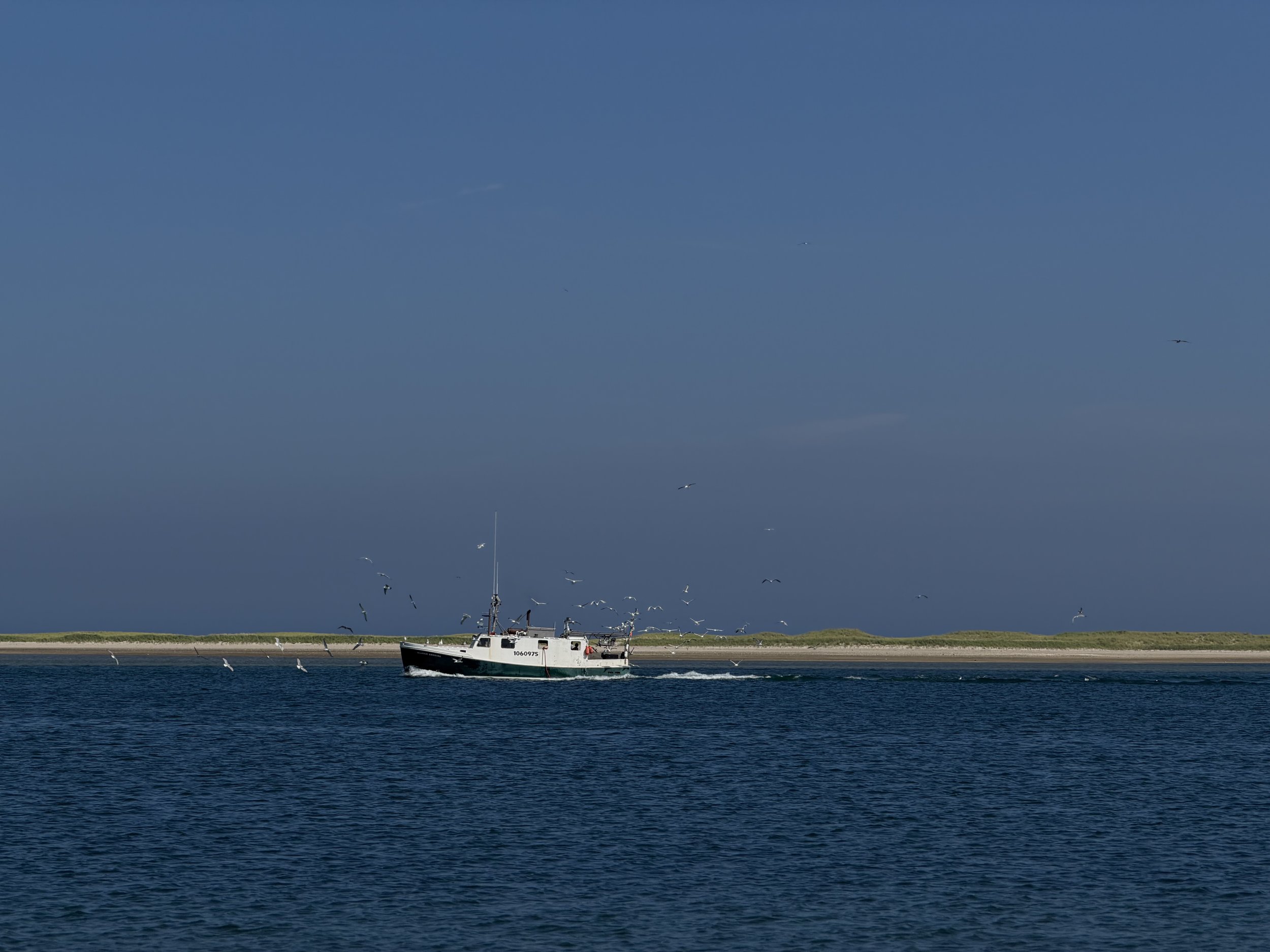 IMG_7912.jpeg