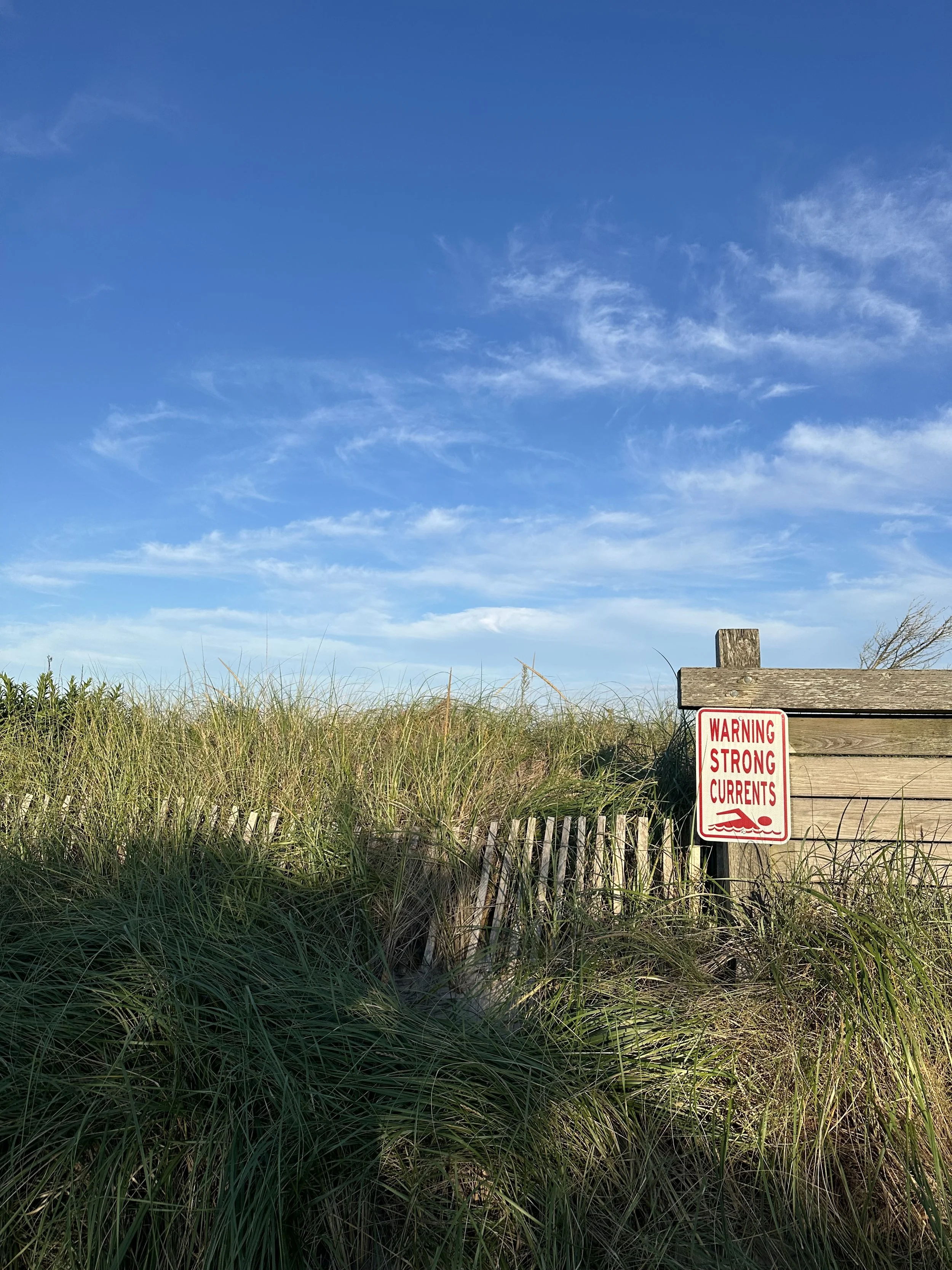IMG_4187.jpeg