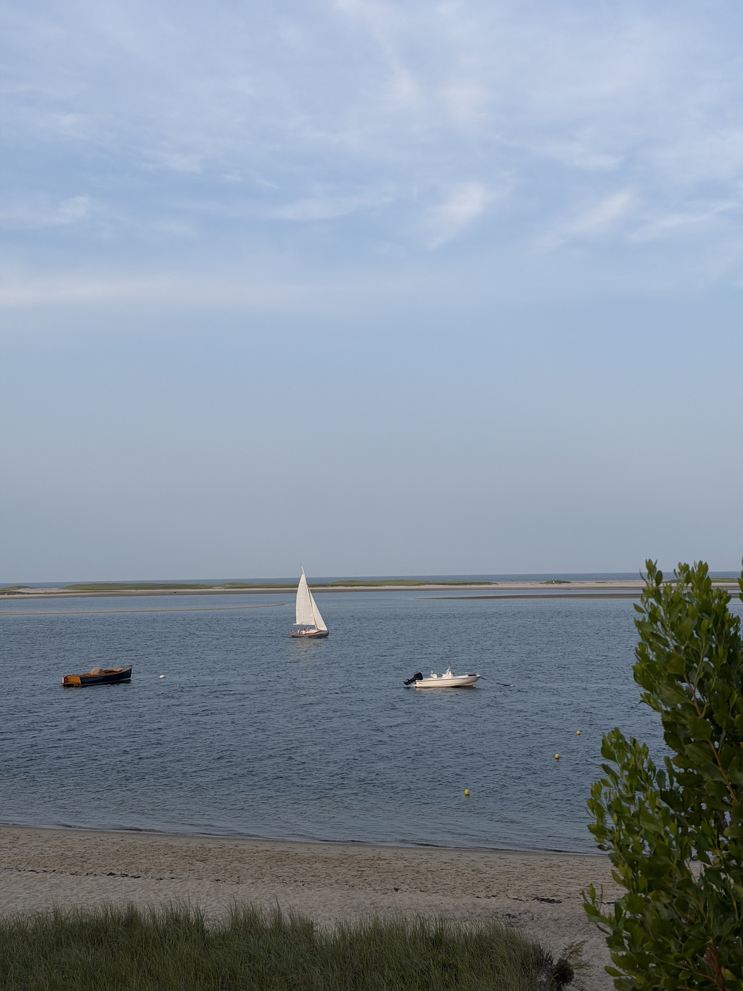 IMG_7376.jpeg