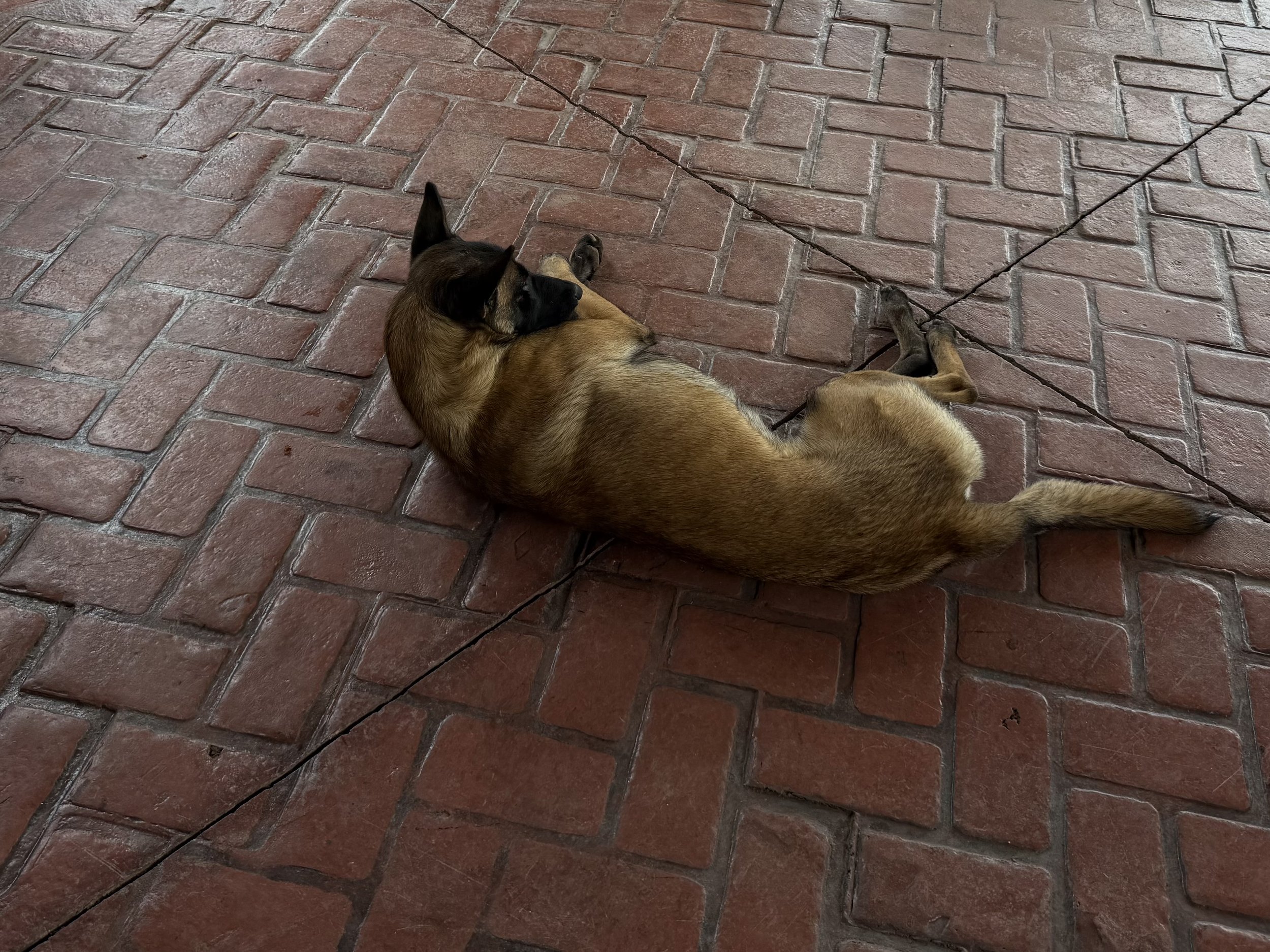 IMG_5697.jpeg