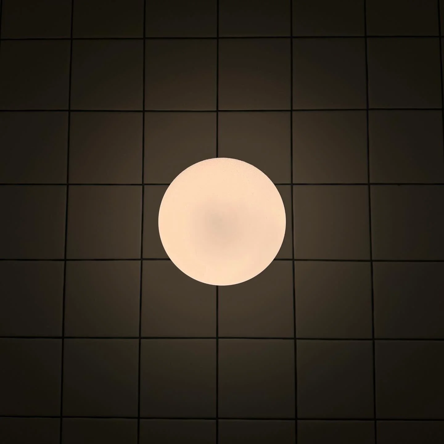16909ADB-4965-496E-8C5E-67138163A395.jpg