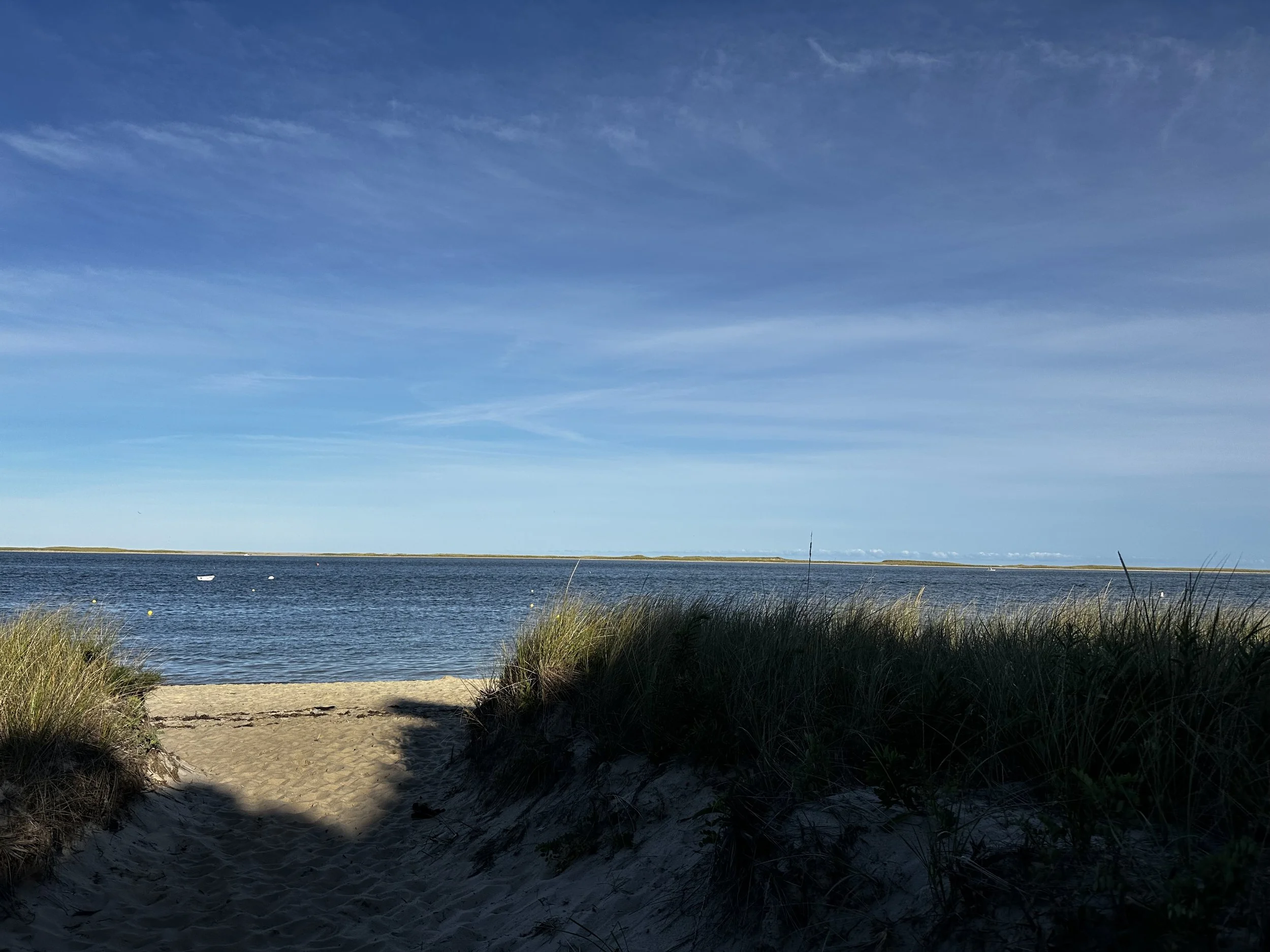 IMG_0464.jpeg