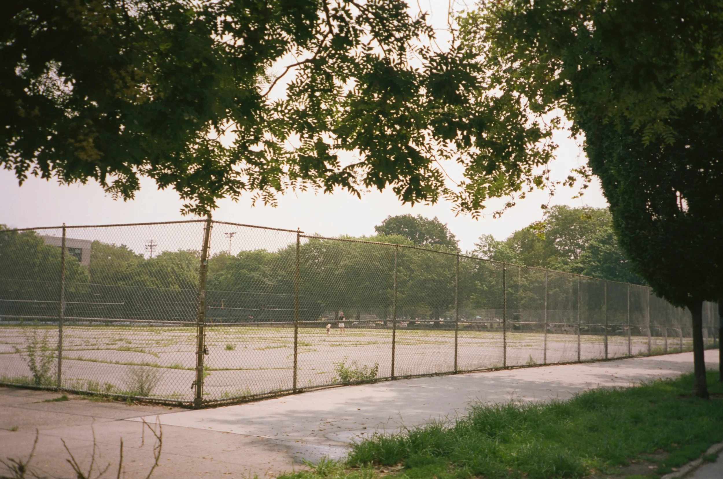 MiscJuly23.19.jpg