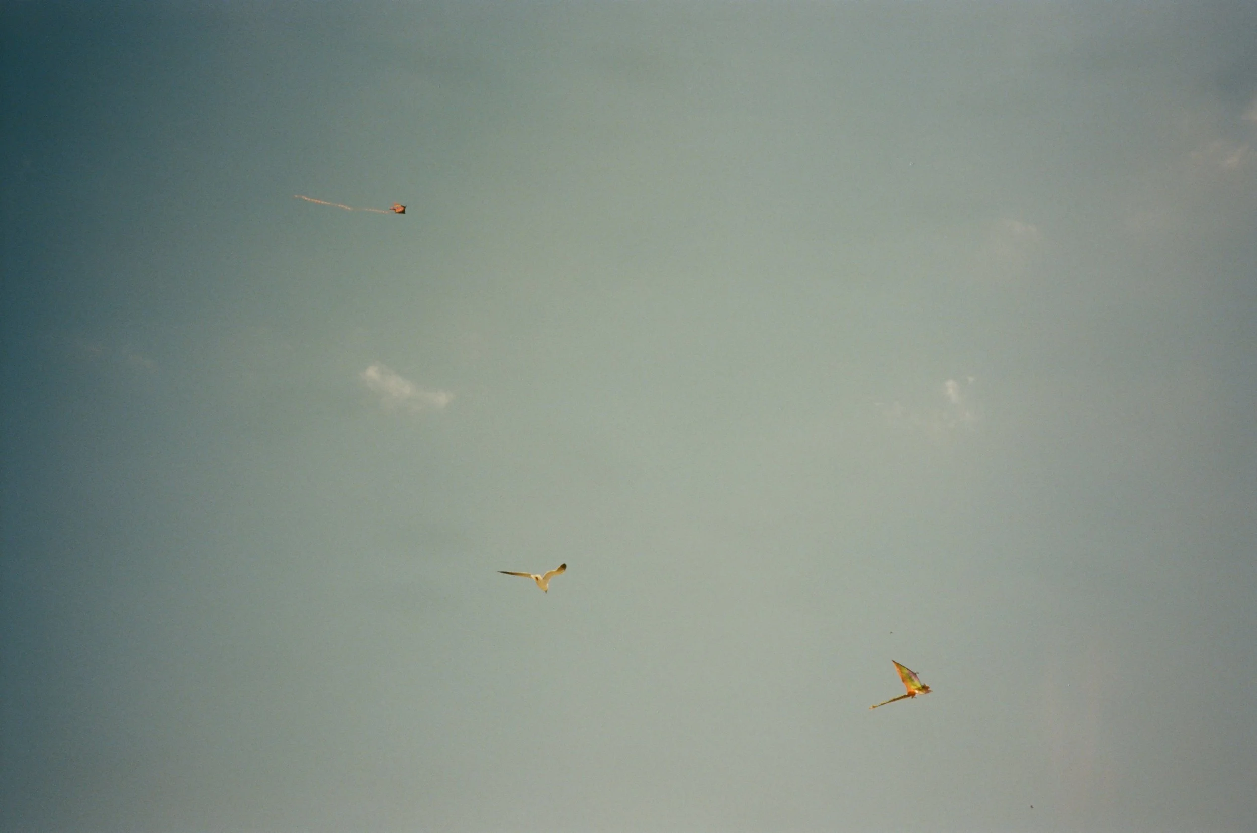 chatham23.7.jpg