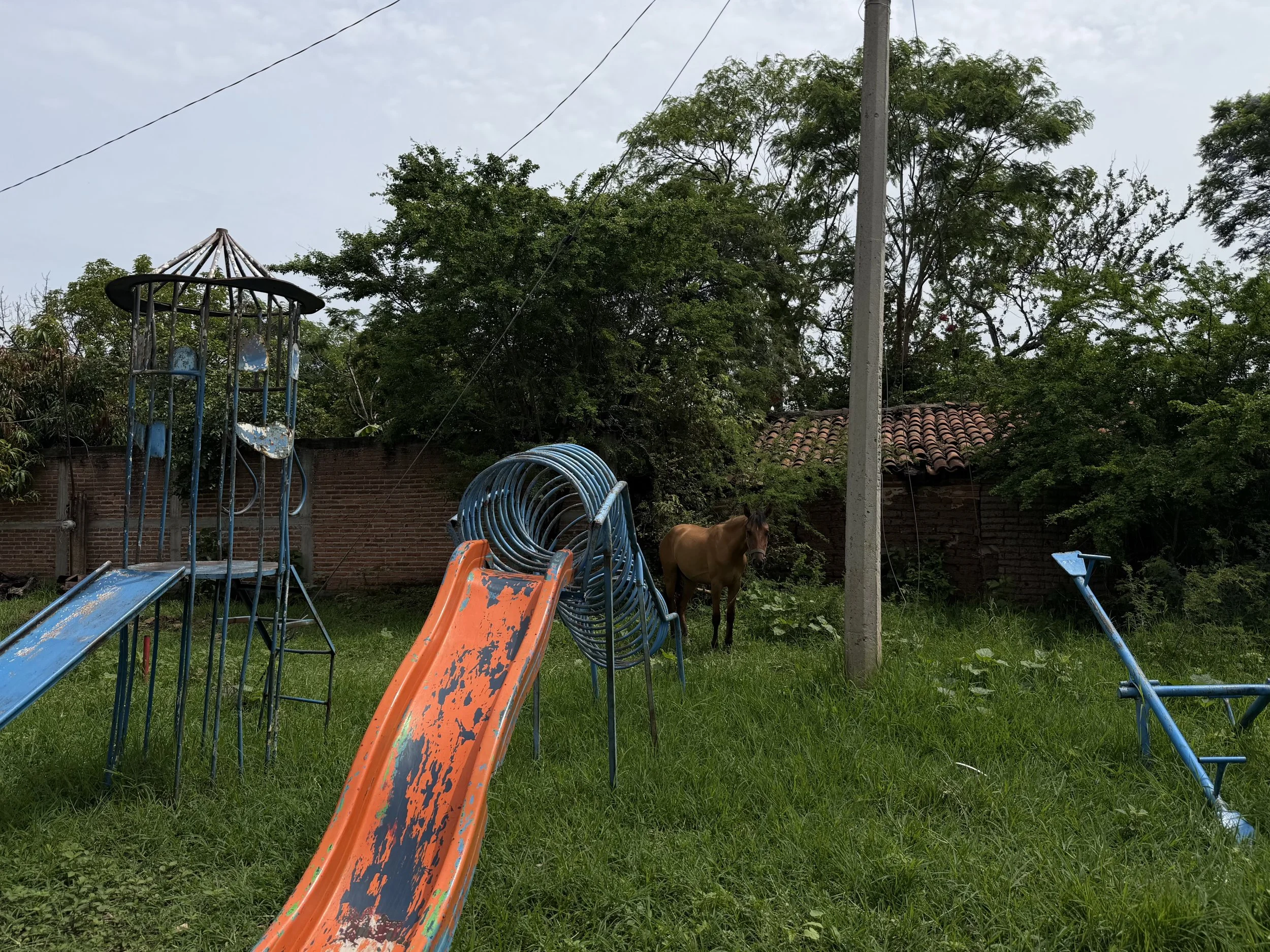 IMG_5935.jpeg