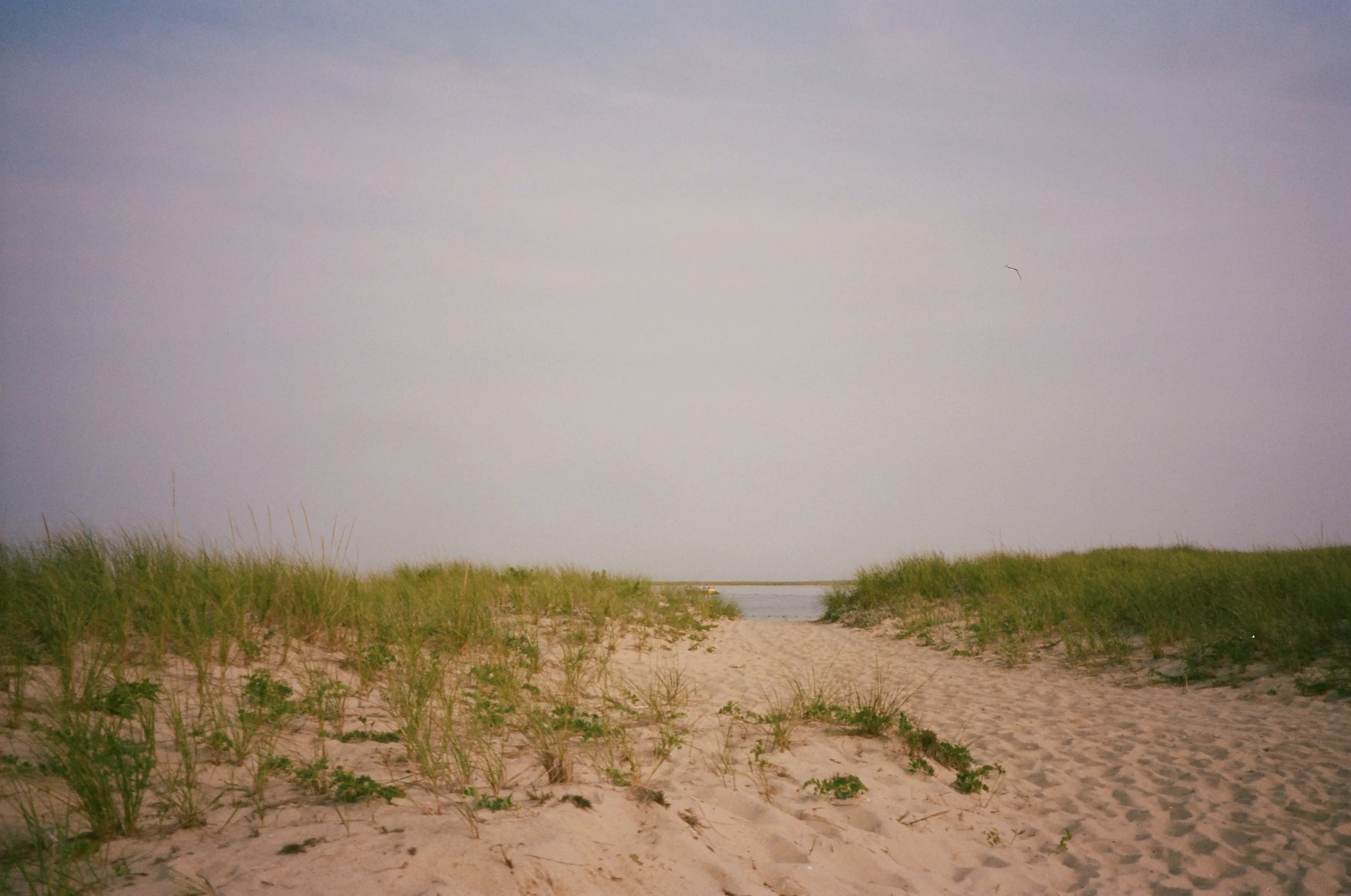 chatham23.9.jpg