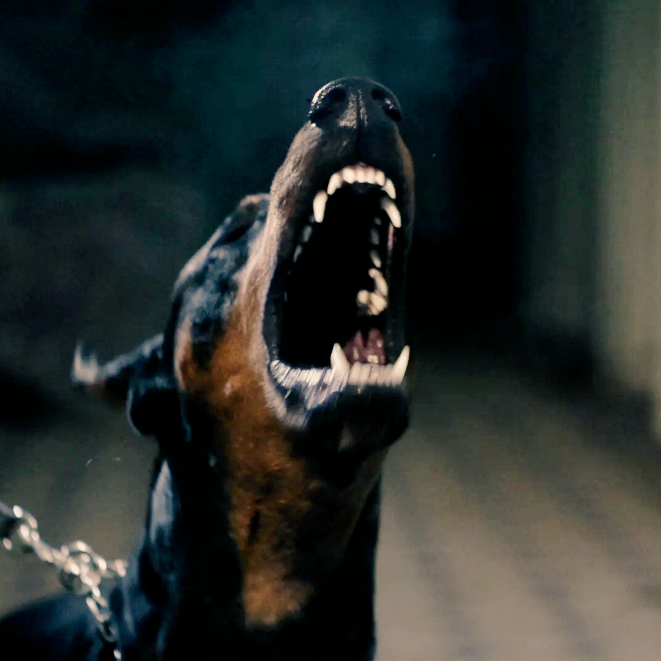 7 ALBUM COVER.png (Copy) (Copy) (Copy) (Copy) (Copy) (Copy) (Copy) (Copy) (Copy)