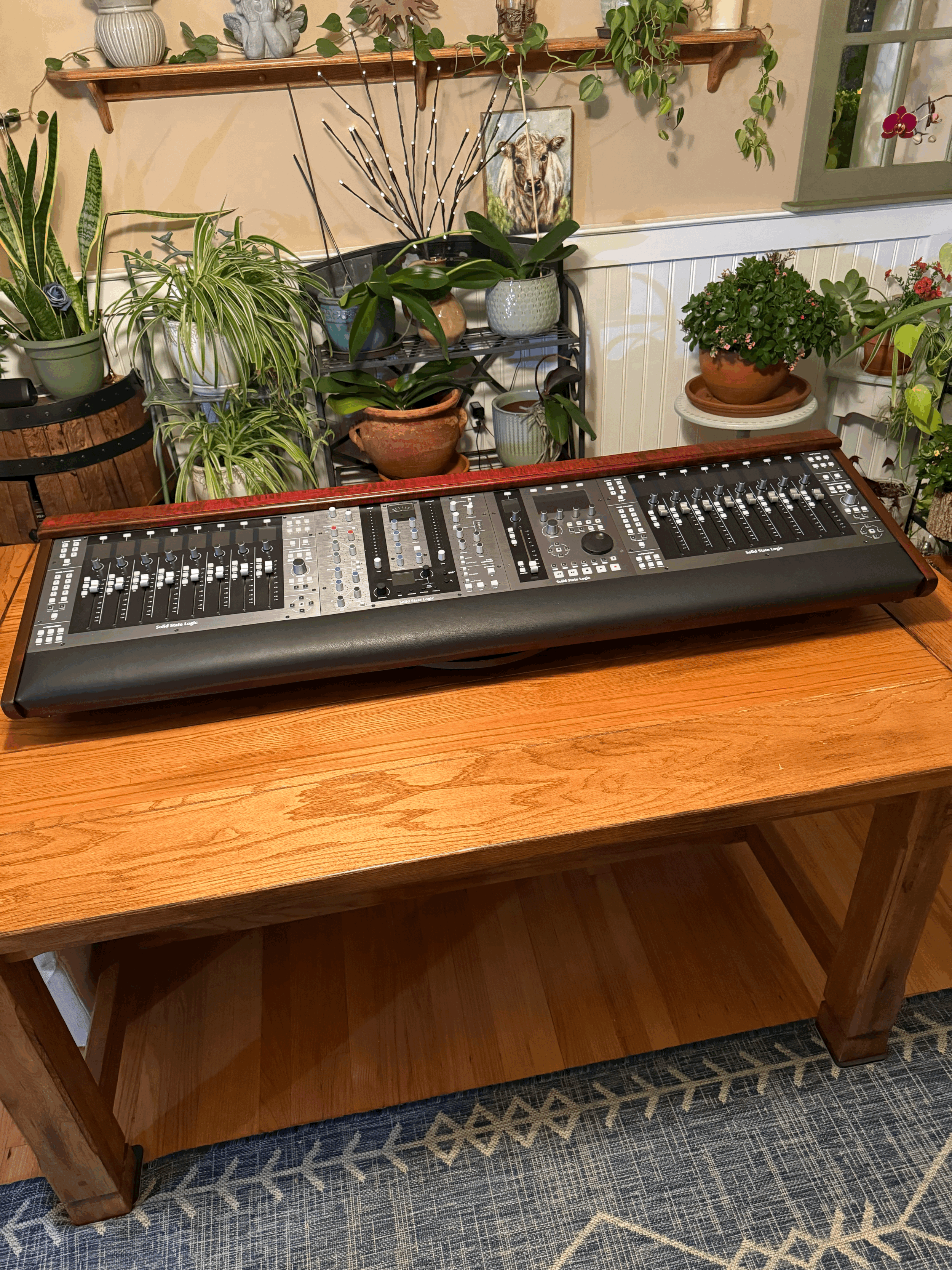 Cherry Cola 4 Bay Surround