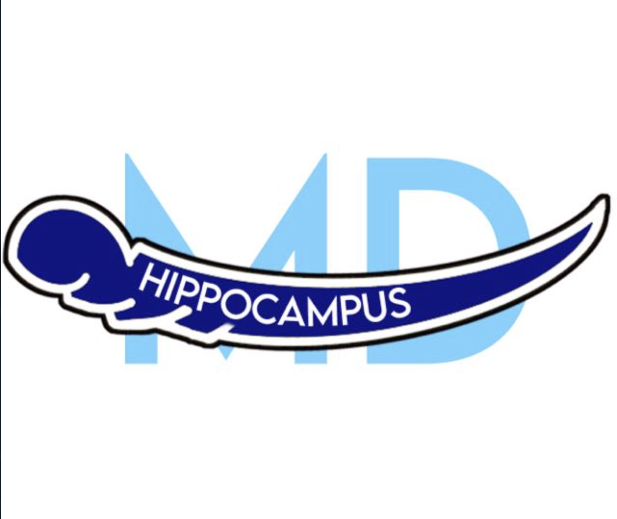 HippocampusMD - USMLE Tutoring, Personal Statement Editing, ERAS application and Interview preparation