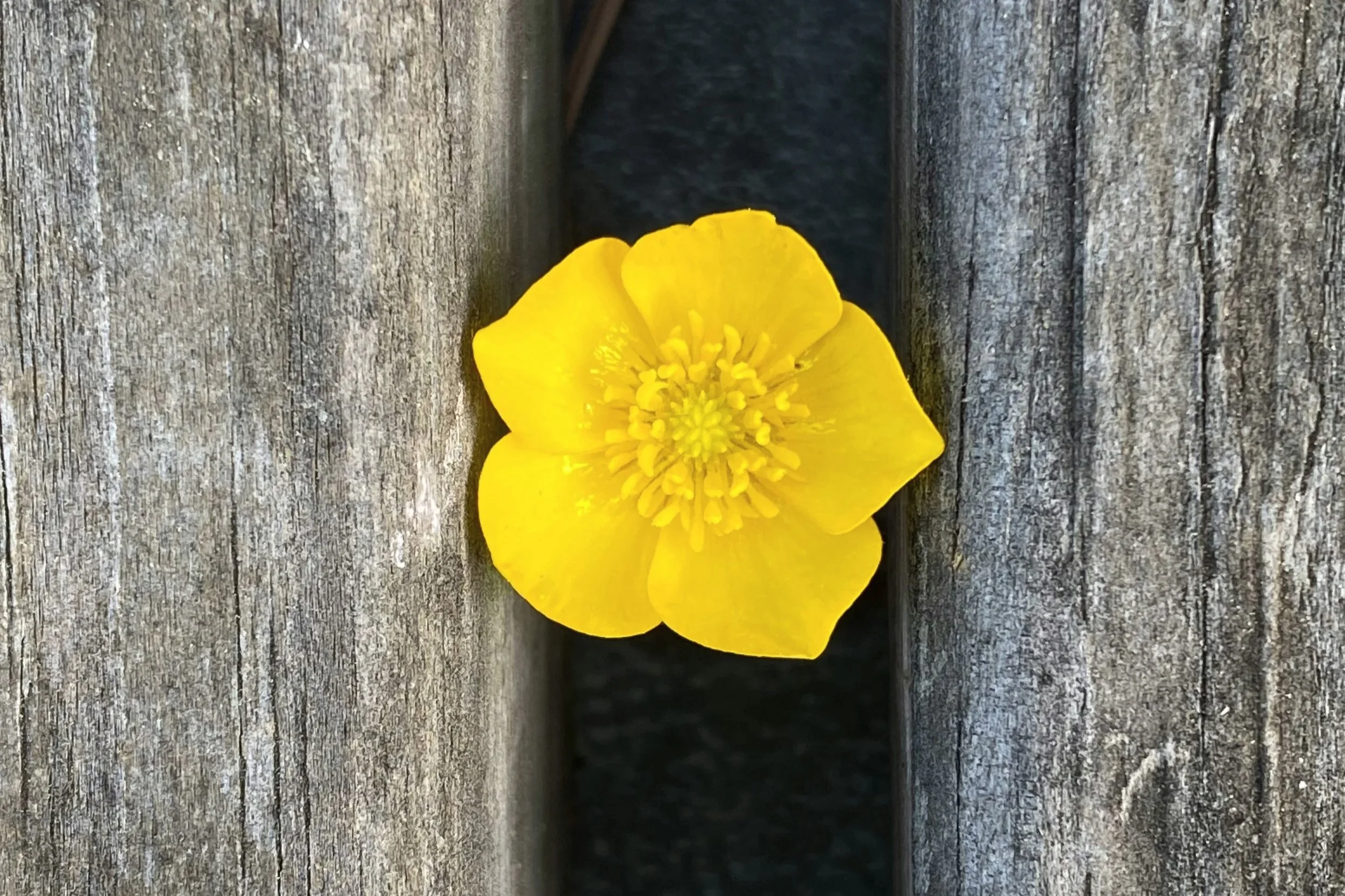 Learning to Be Present to God and Others