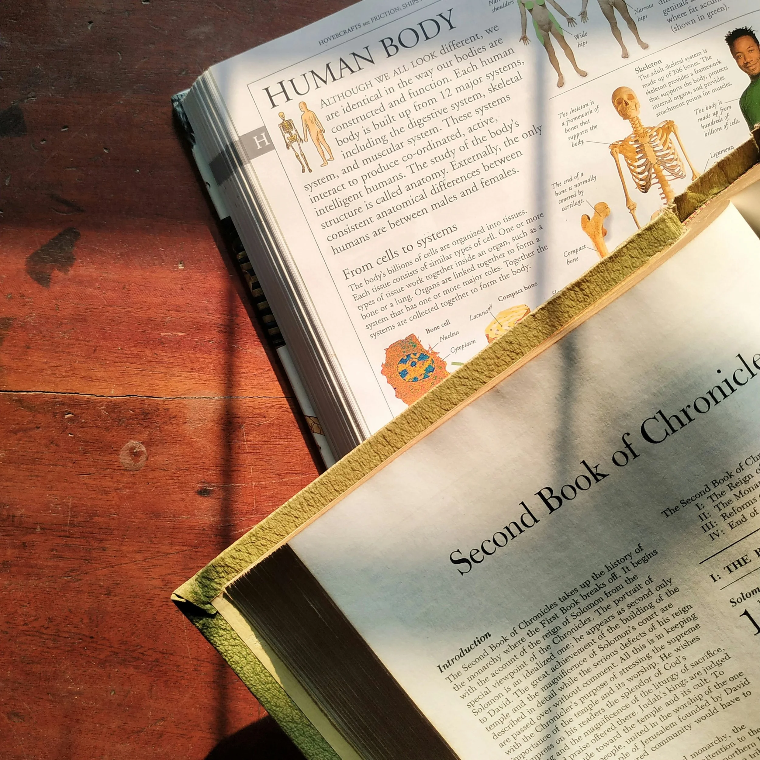 Human anatomy text and biblical text suggesting that faith and science work together.