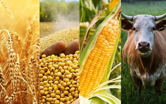 Brian’s 2025 Recap + Looking Ahead to 2026