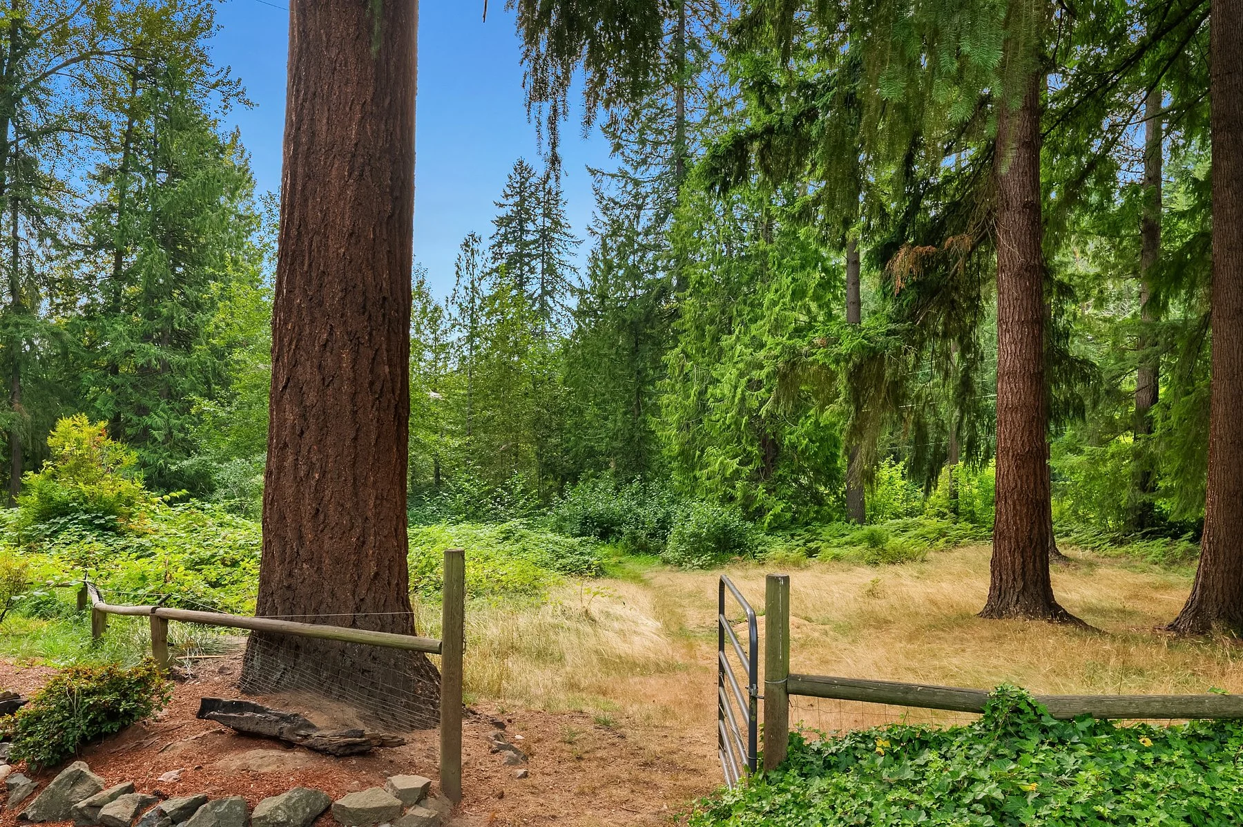 13430 Batten Road NE Duvall WA (18).jpg