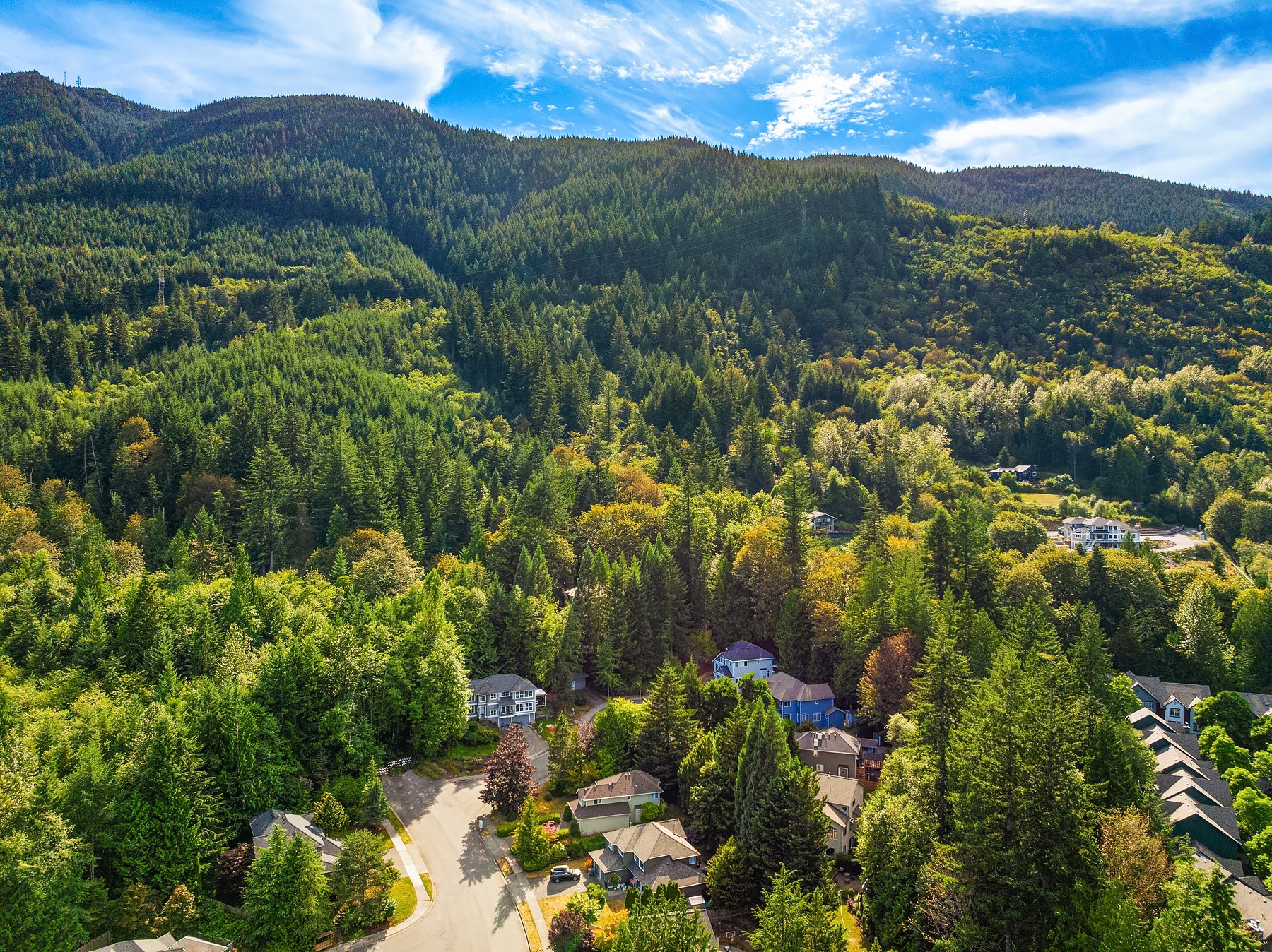 1477 SW 10th Street North Bend, WA (43).jpg